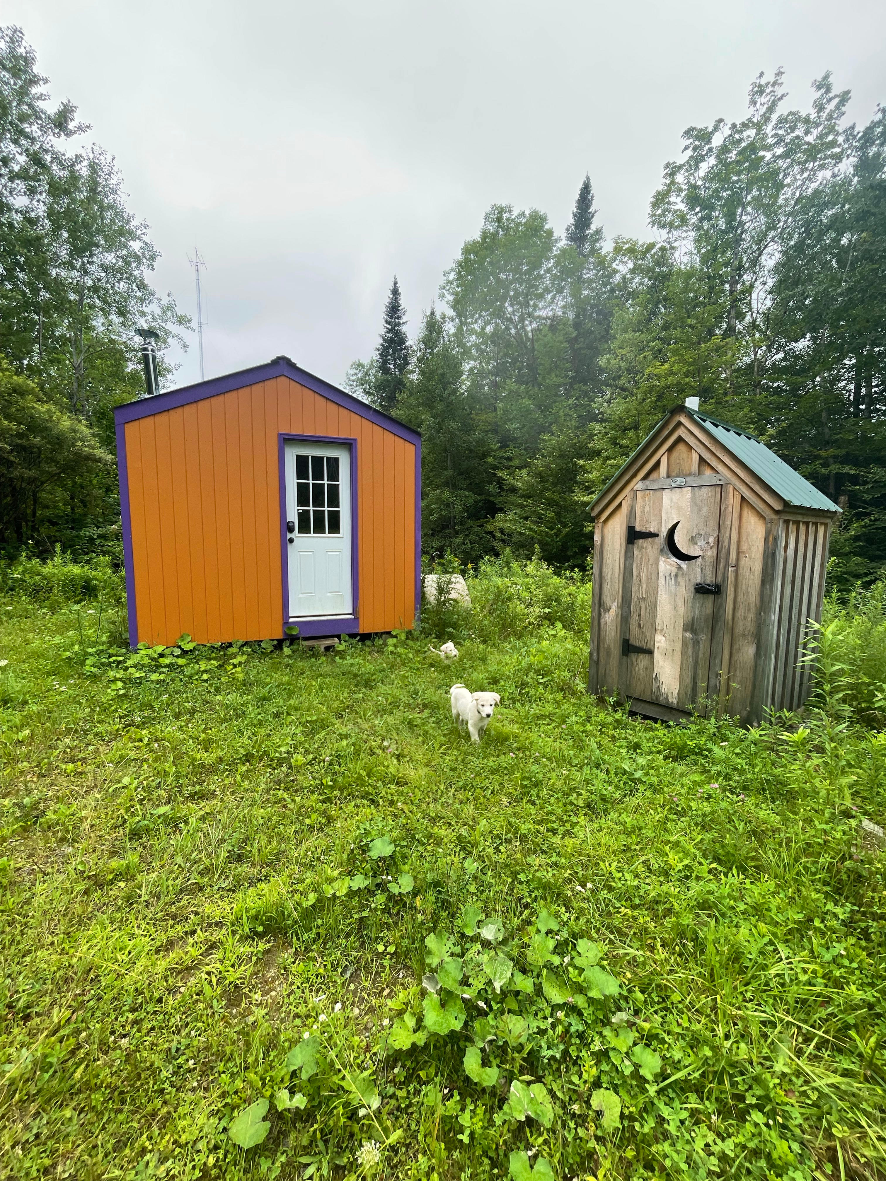 Two white German Shepherd-Great Pyrenees farm mutts started roaming the property below in July 2024! All dog welcome and off leash for those that can of course respectfully as we have bird friends and a goat friend also! 
