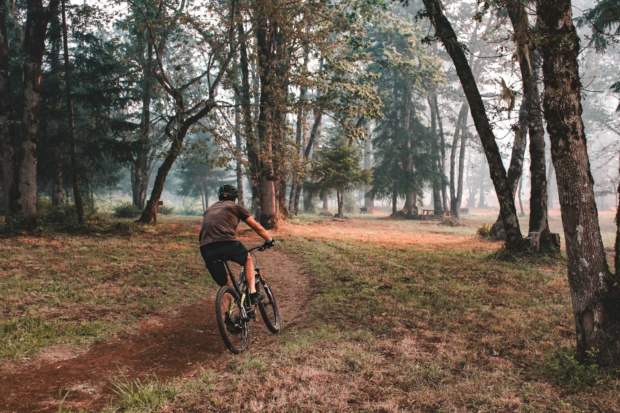 Beautiful tree lined biking paths