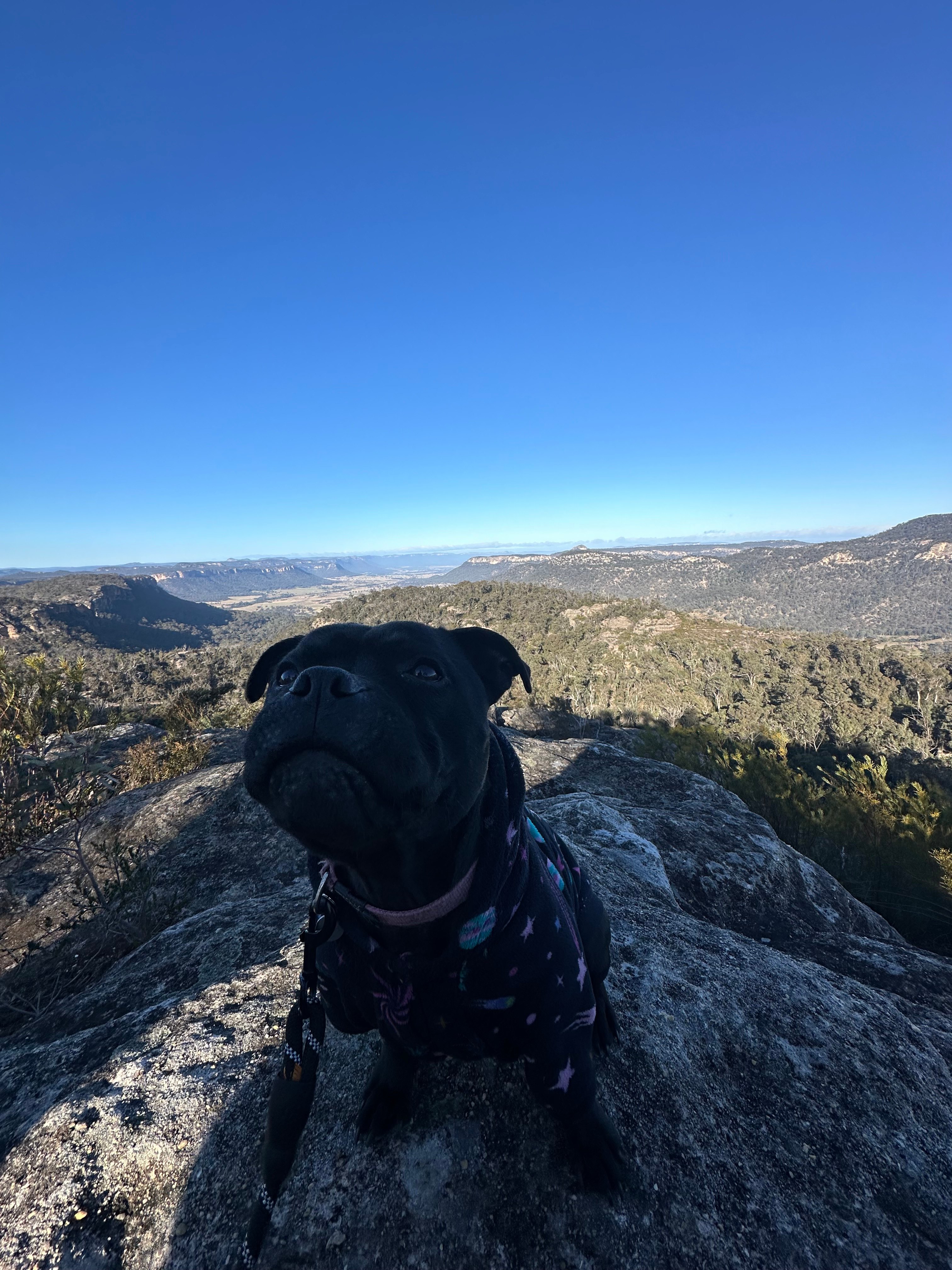 The Nile Off Grid family farm
