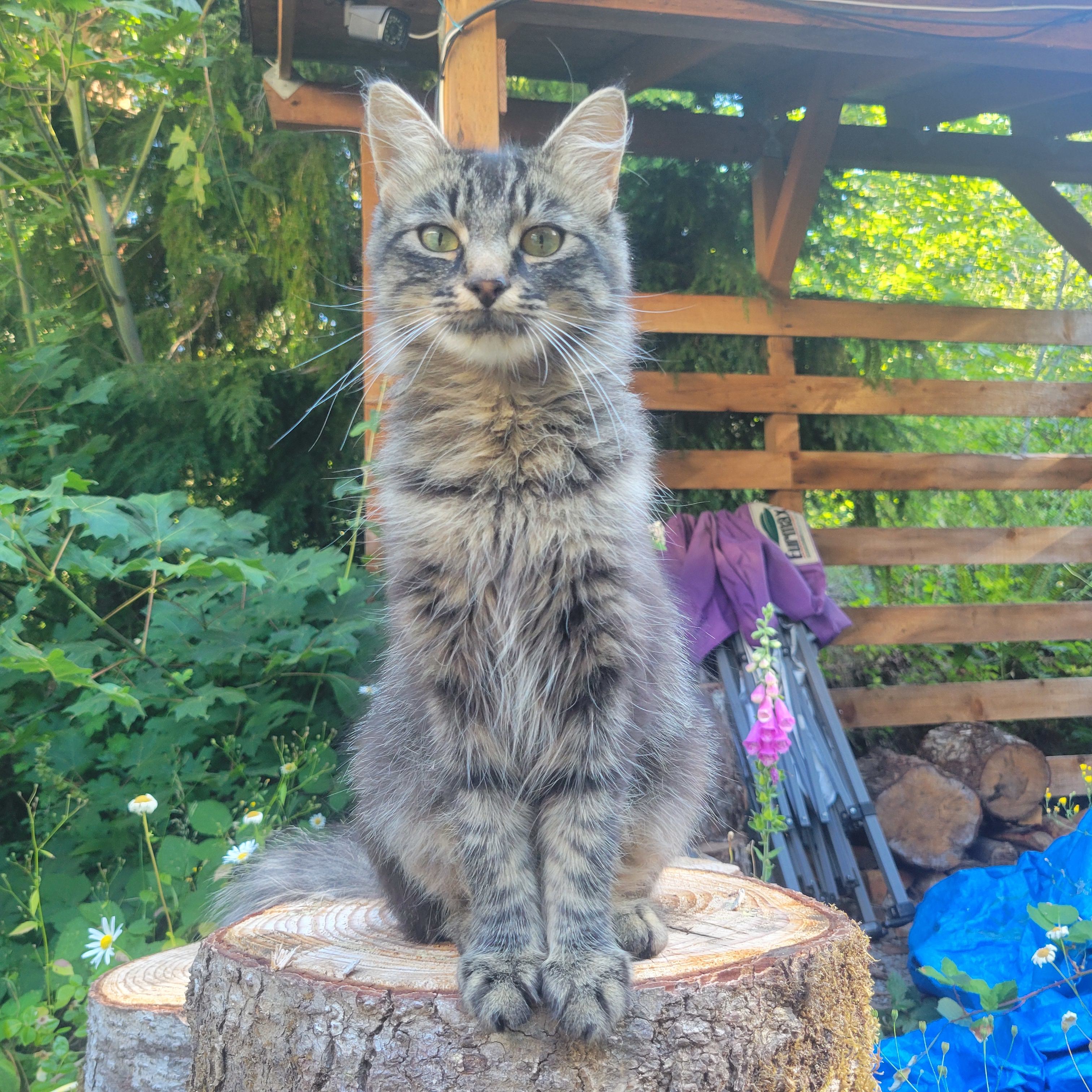 He does have wares if you have the gold