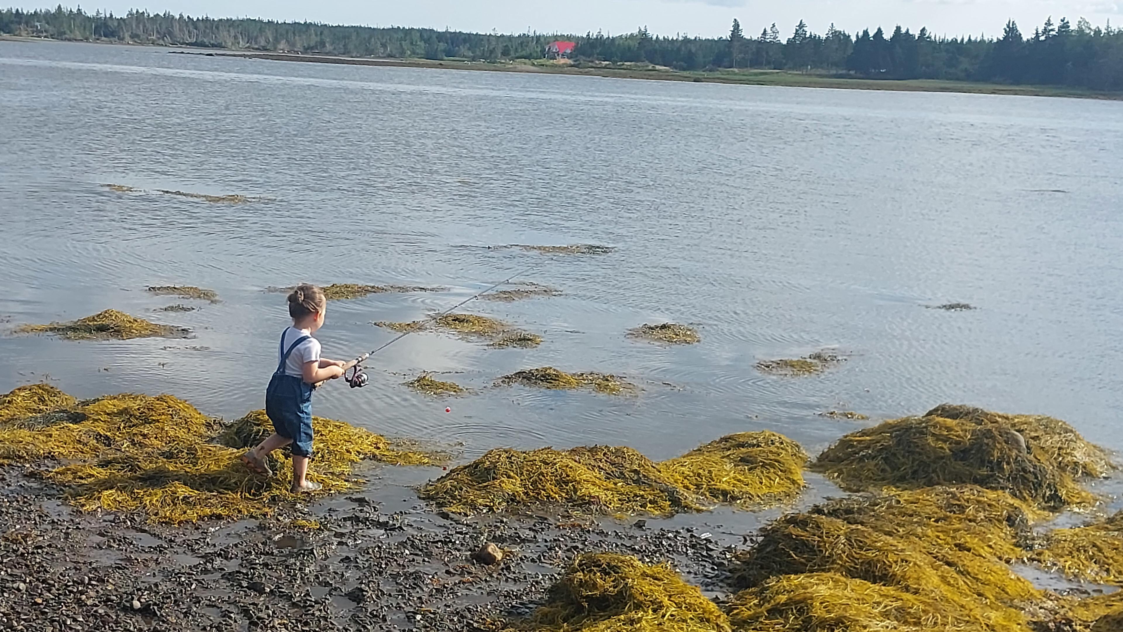Wild Islands Camping by the Sea