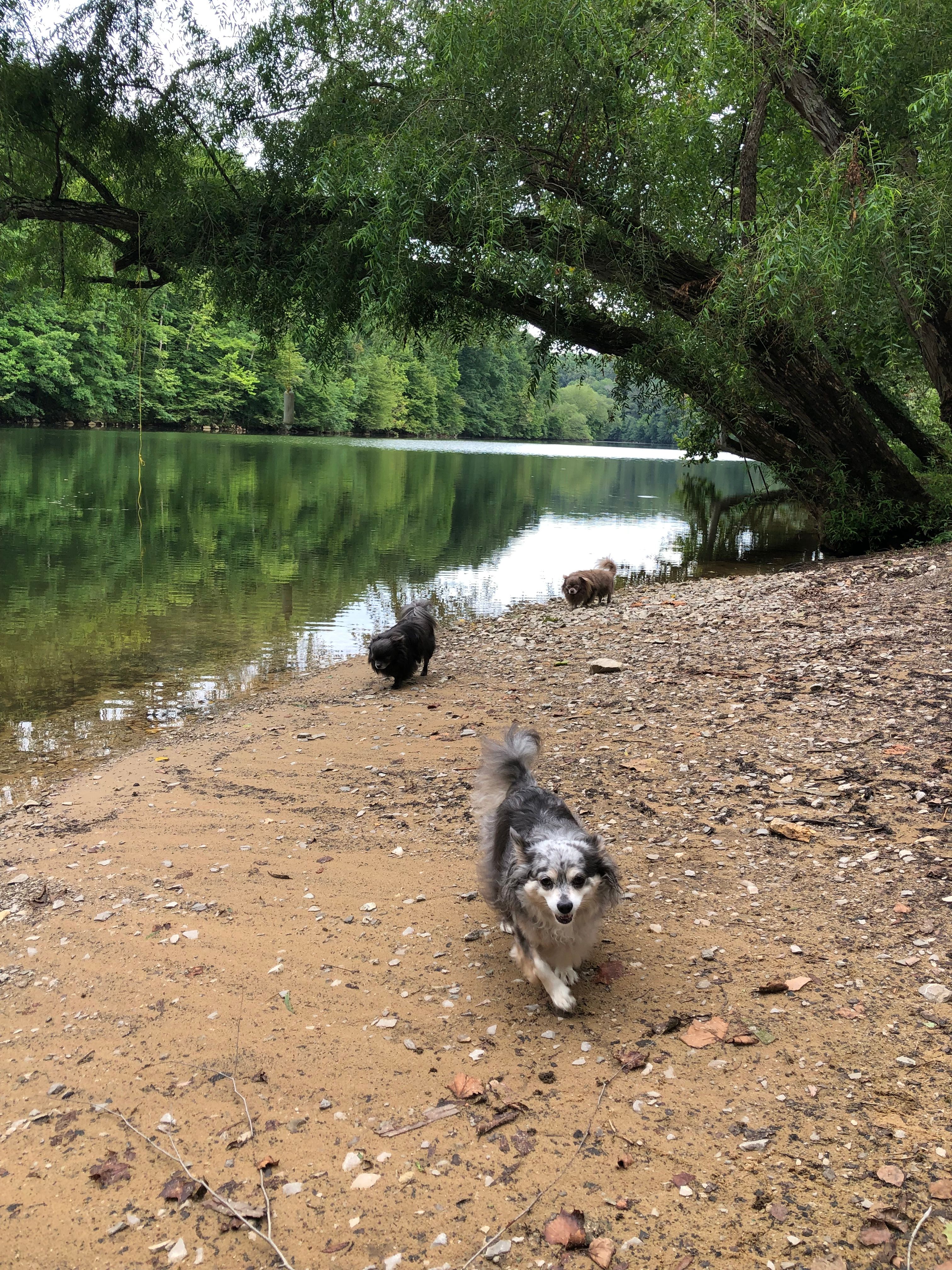 Campsite on the Caney