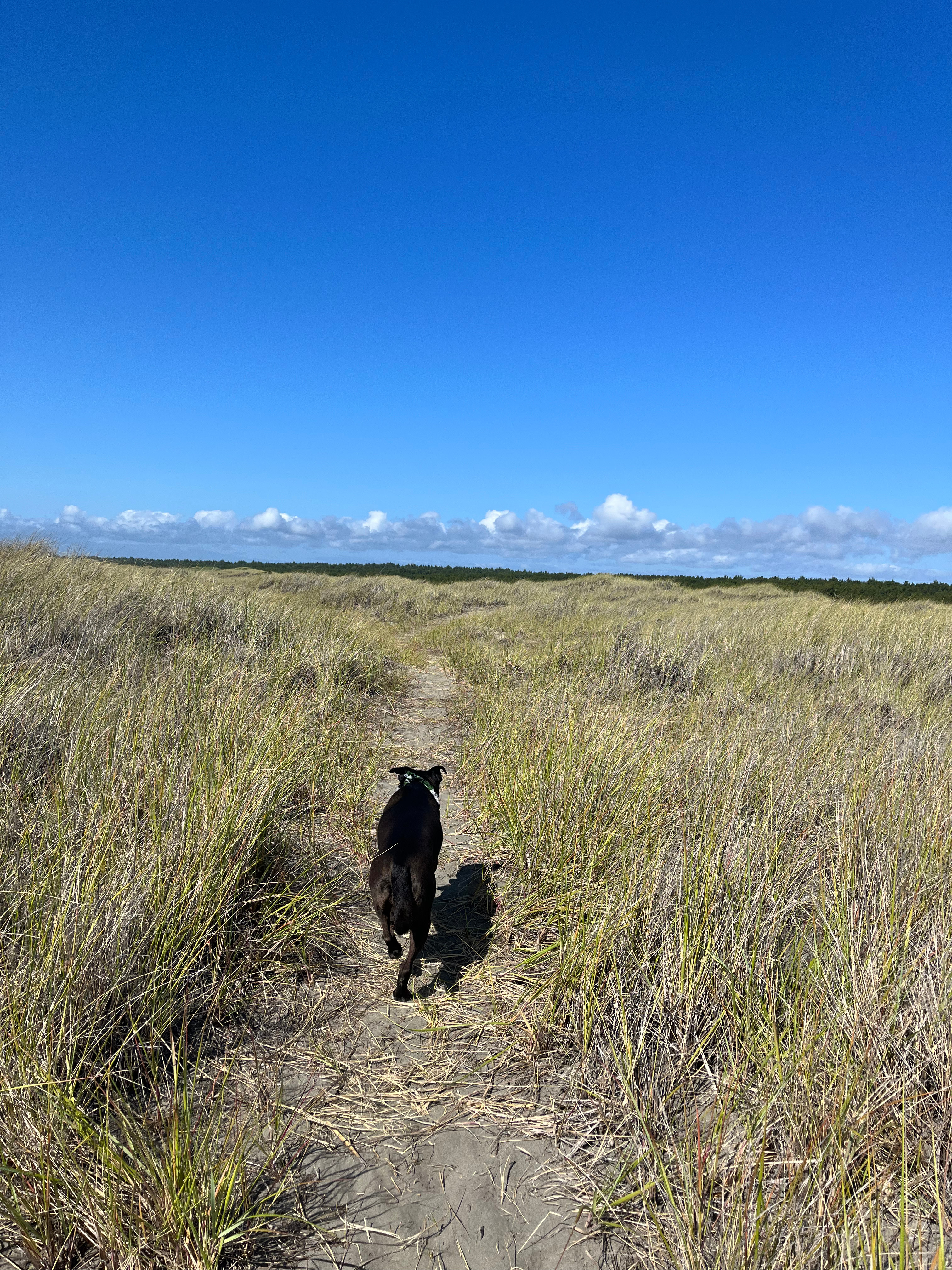 Coastal Family Hideaway