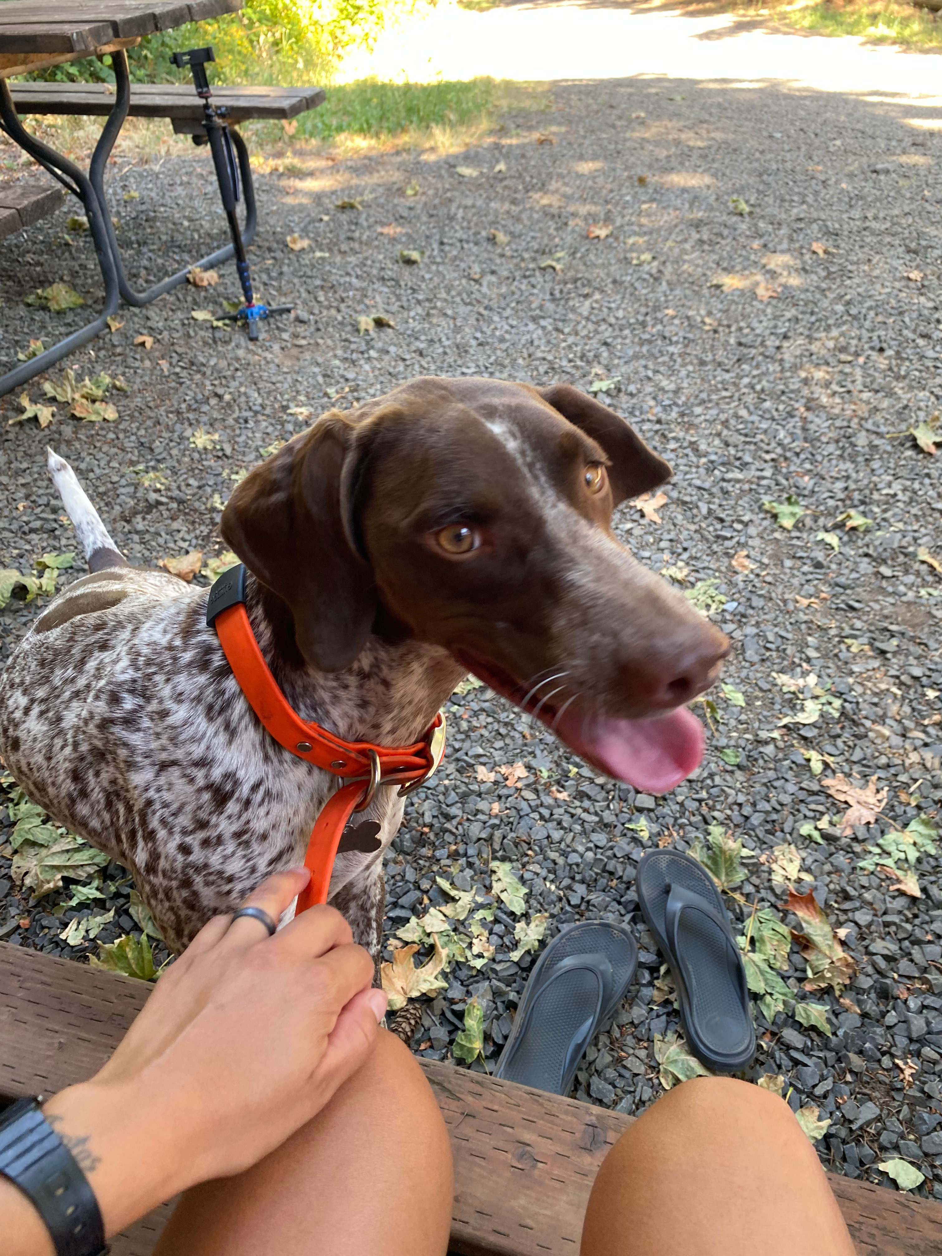 Moon Shadow Meadows-Closing July 8!