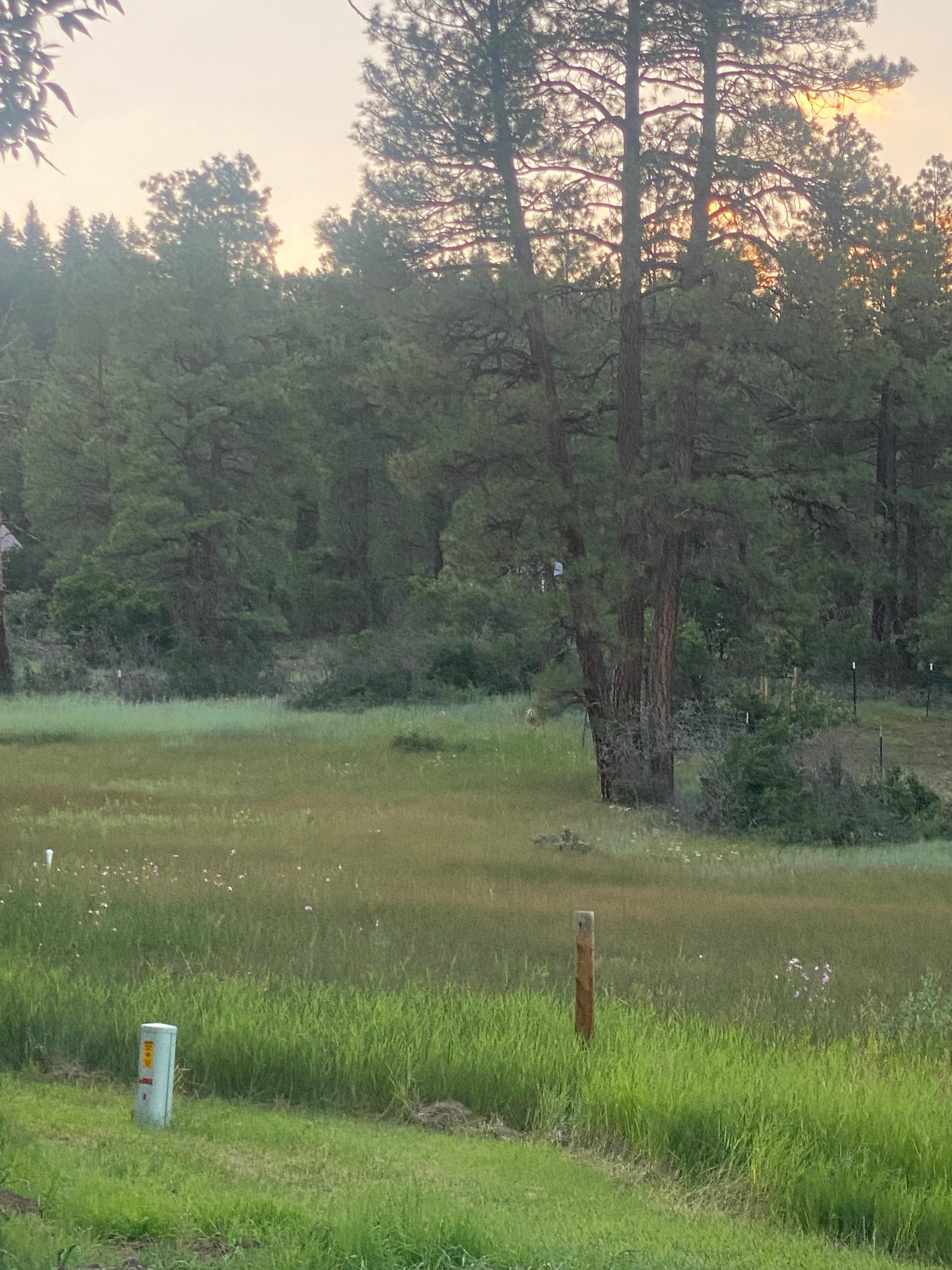 Basecamp Pagosa