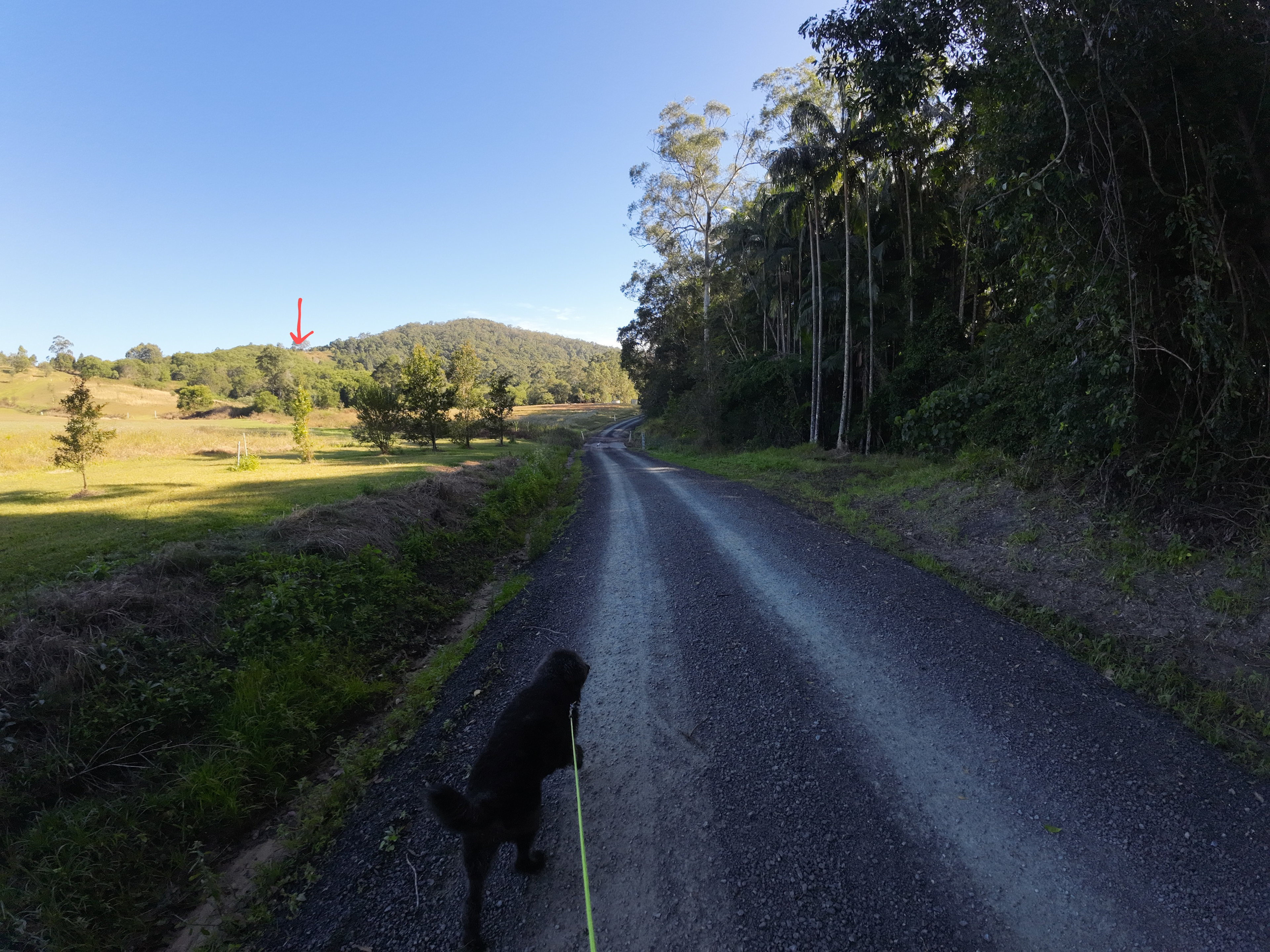 Skippy Trails on Sippy