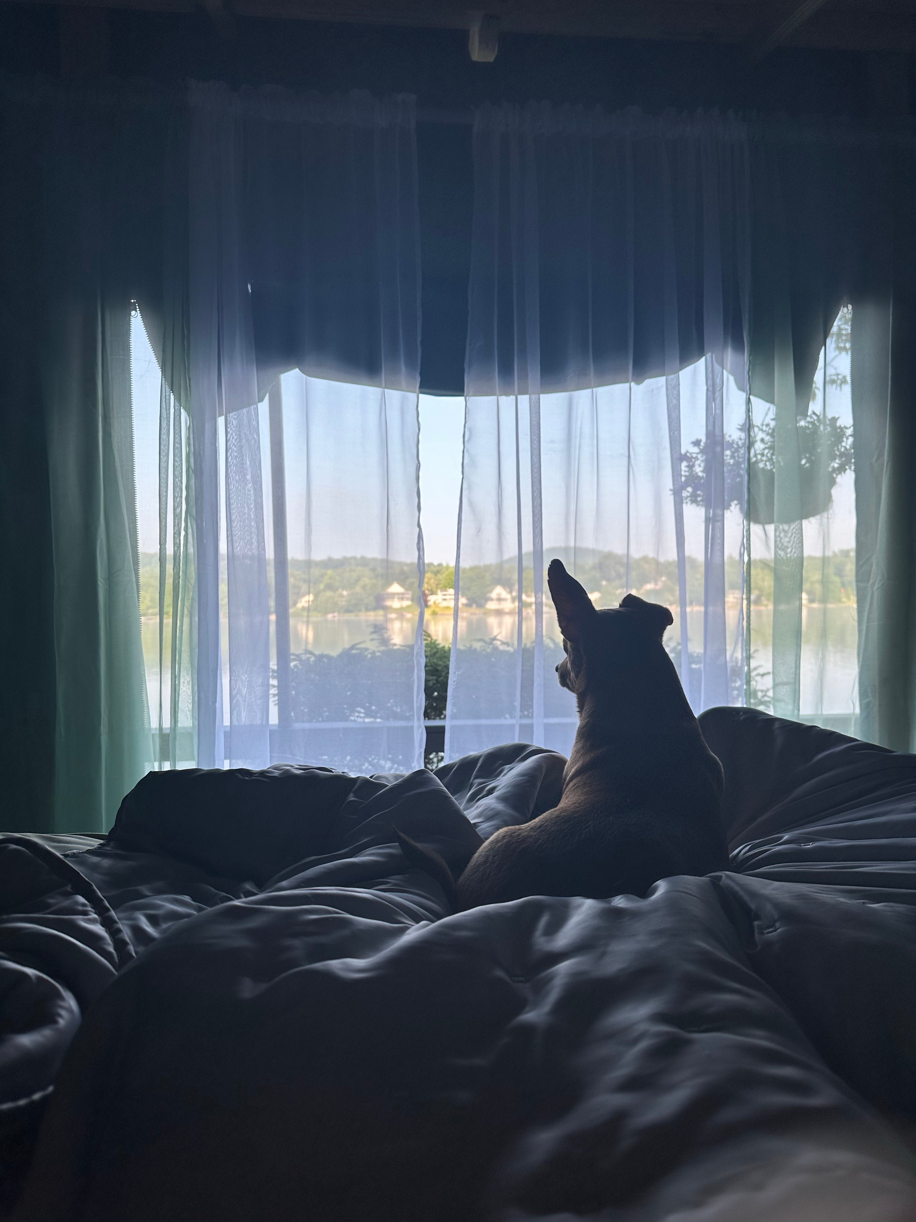 Facebook go to  Lake Carey Glamping