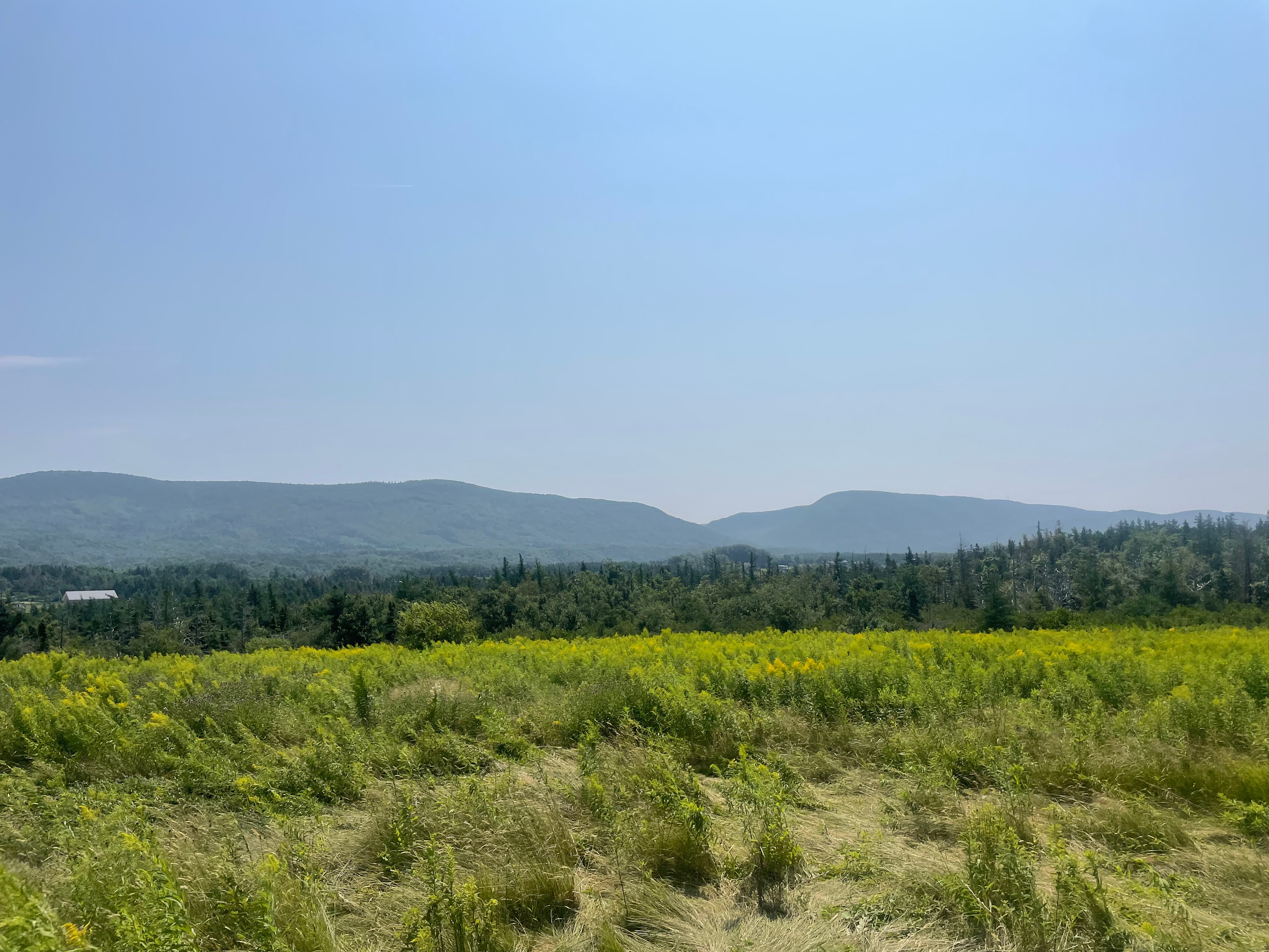 Accolade Retreat Kevin 