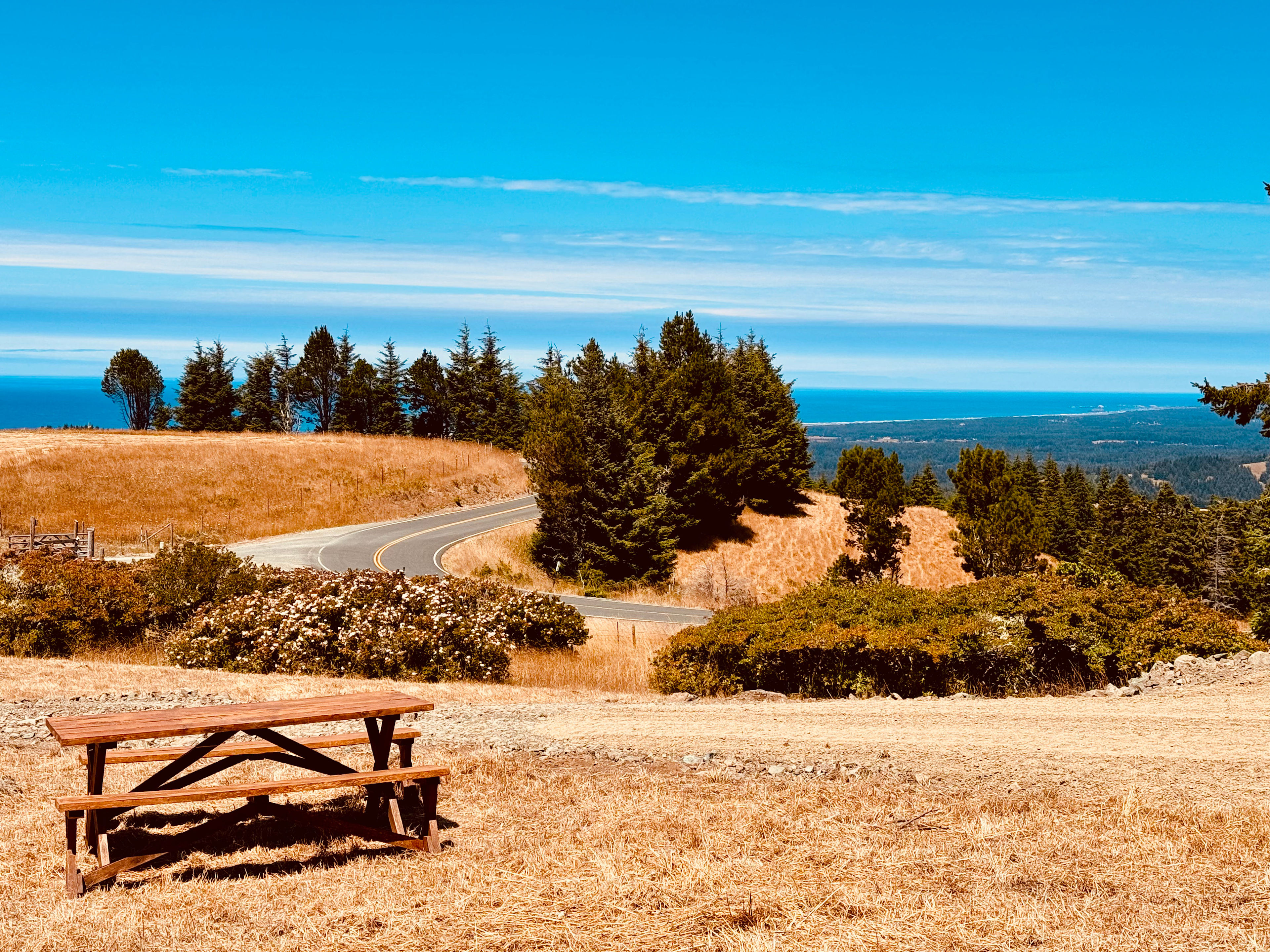 Picnic with a view of the Pacific Ocean.