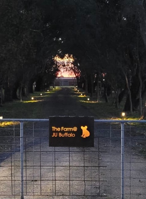 The Farm @ JU Buffalo (S Gippsland)
