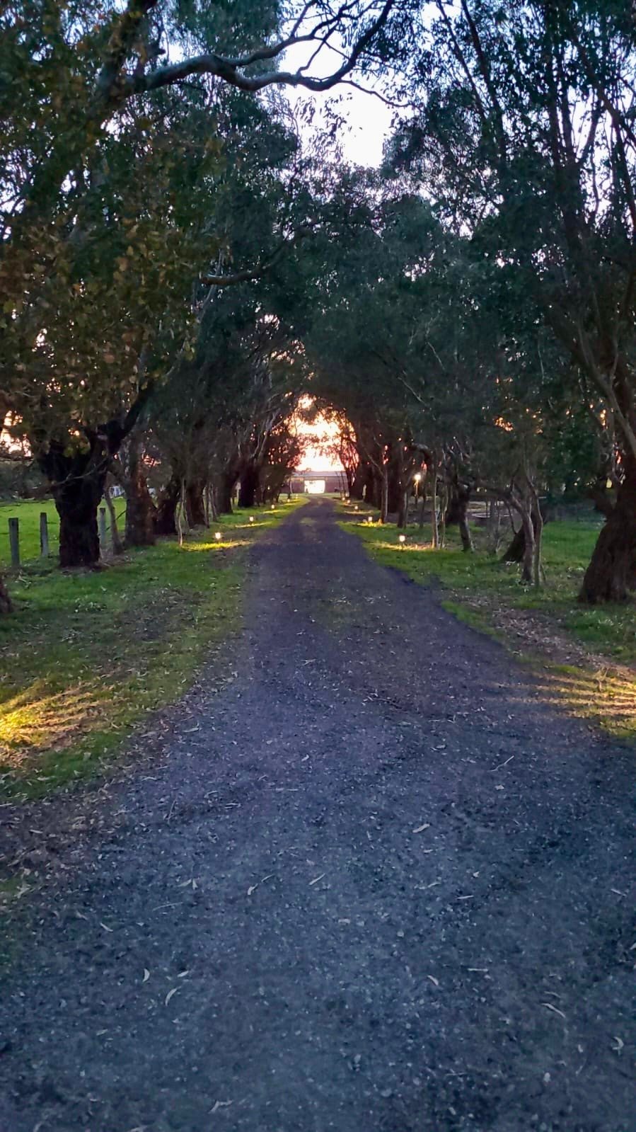 The Farm @ JU Buffalo (S Gippsland)