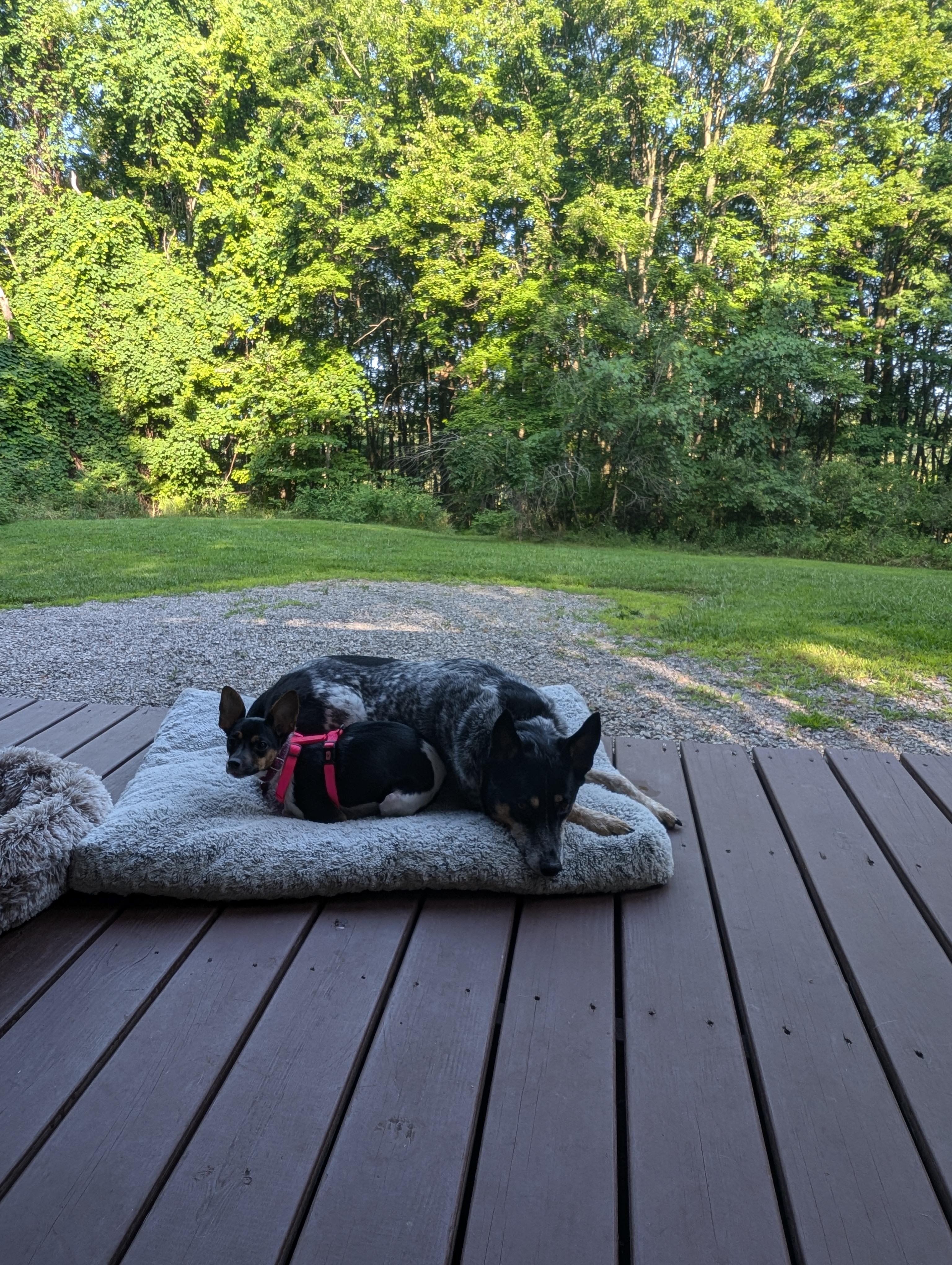 Tiny Heaven