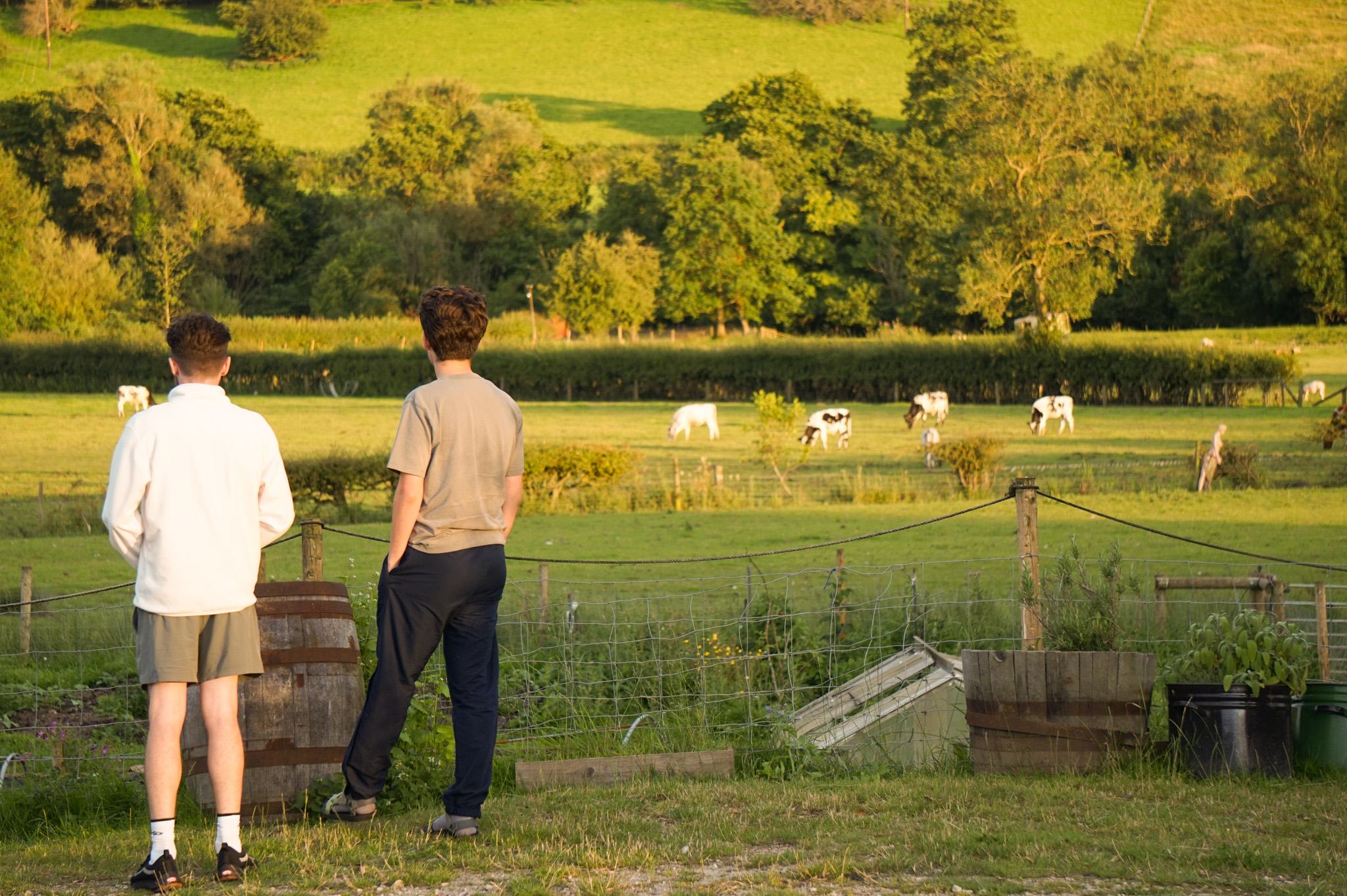 Beautiful views from the top of the farm