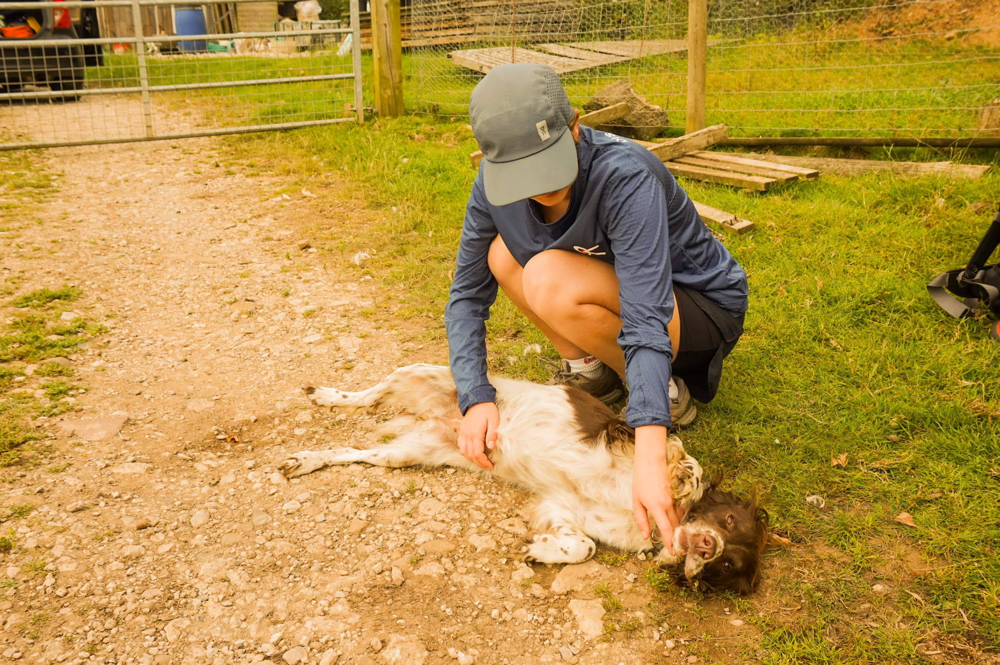 Boudica the farm pup was always happy to greet us