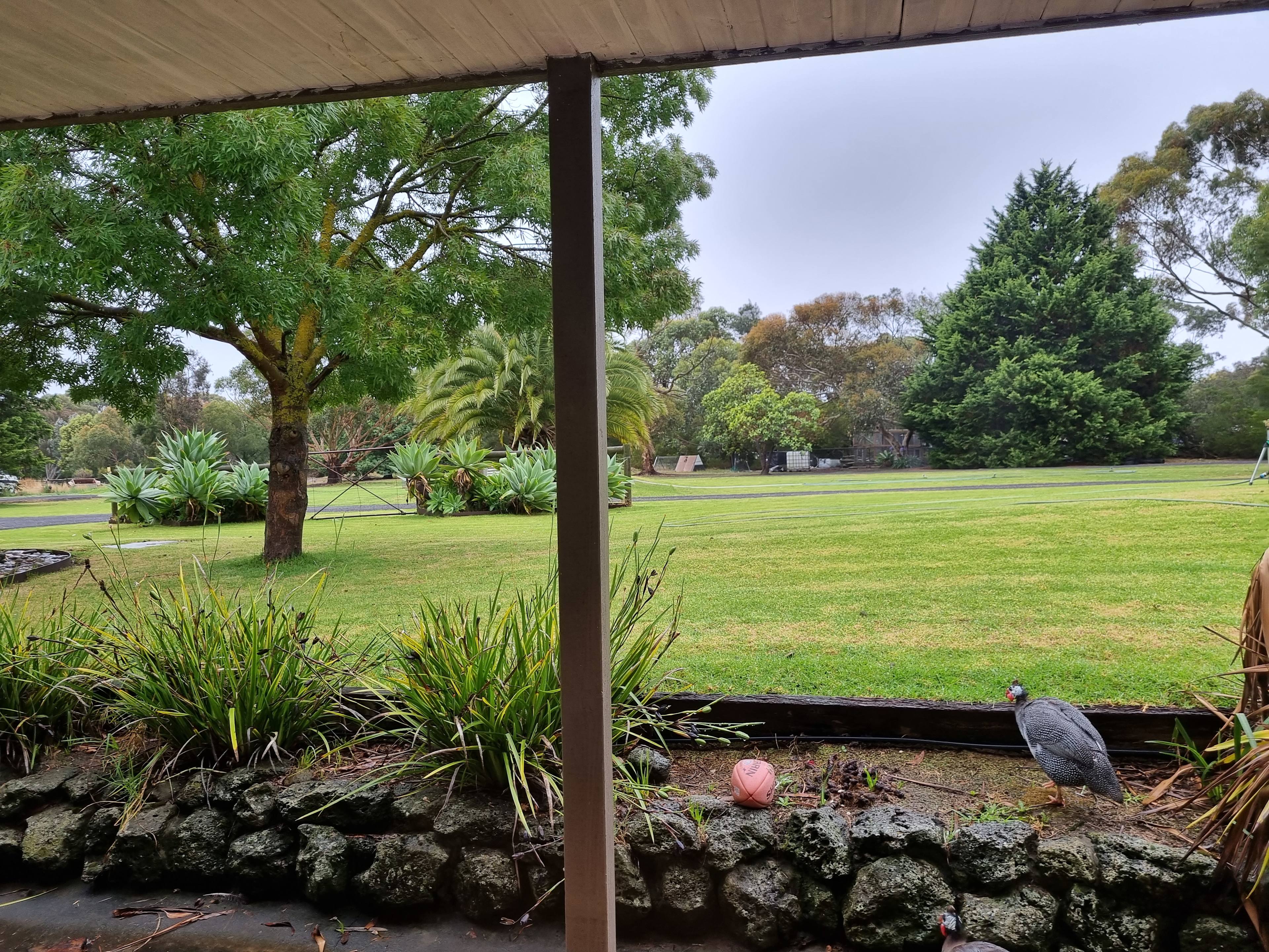 Rancho Nirvana
