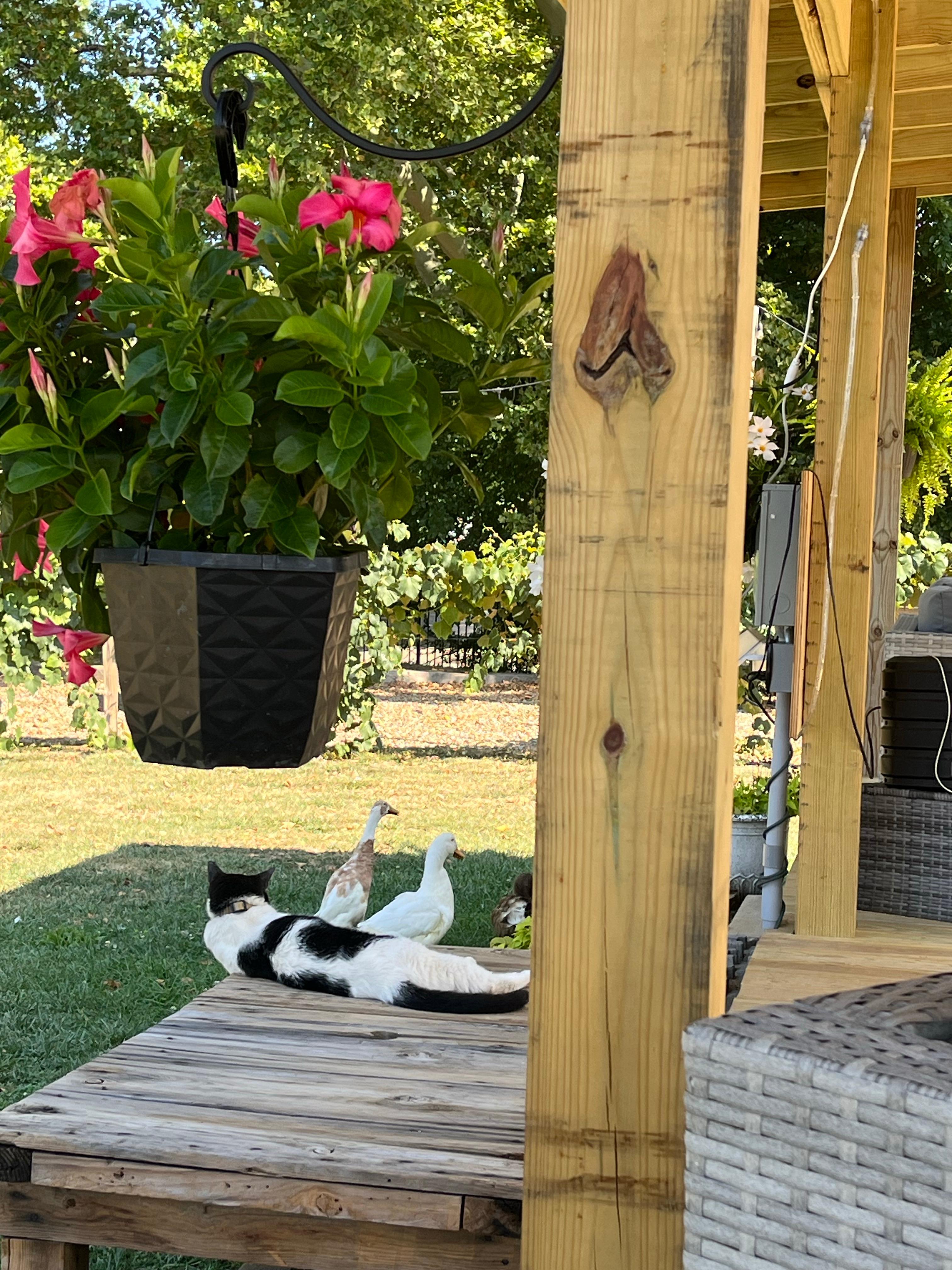 The Cleveland Winery