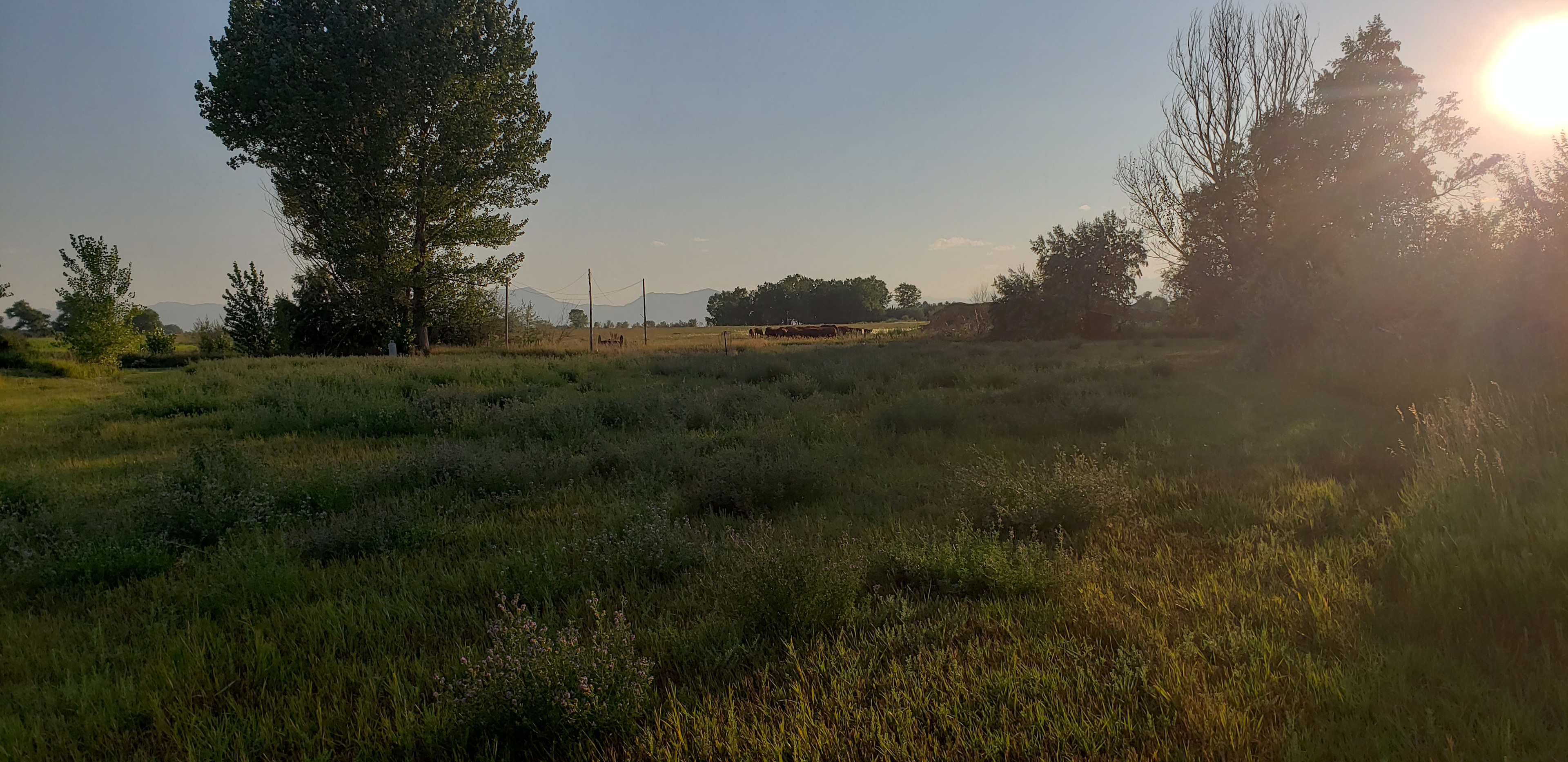 Montgomery Homestead