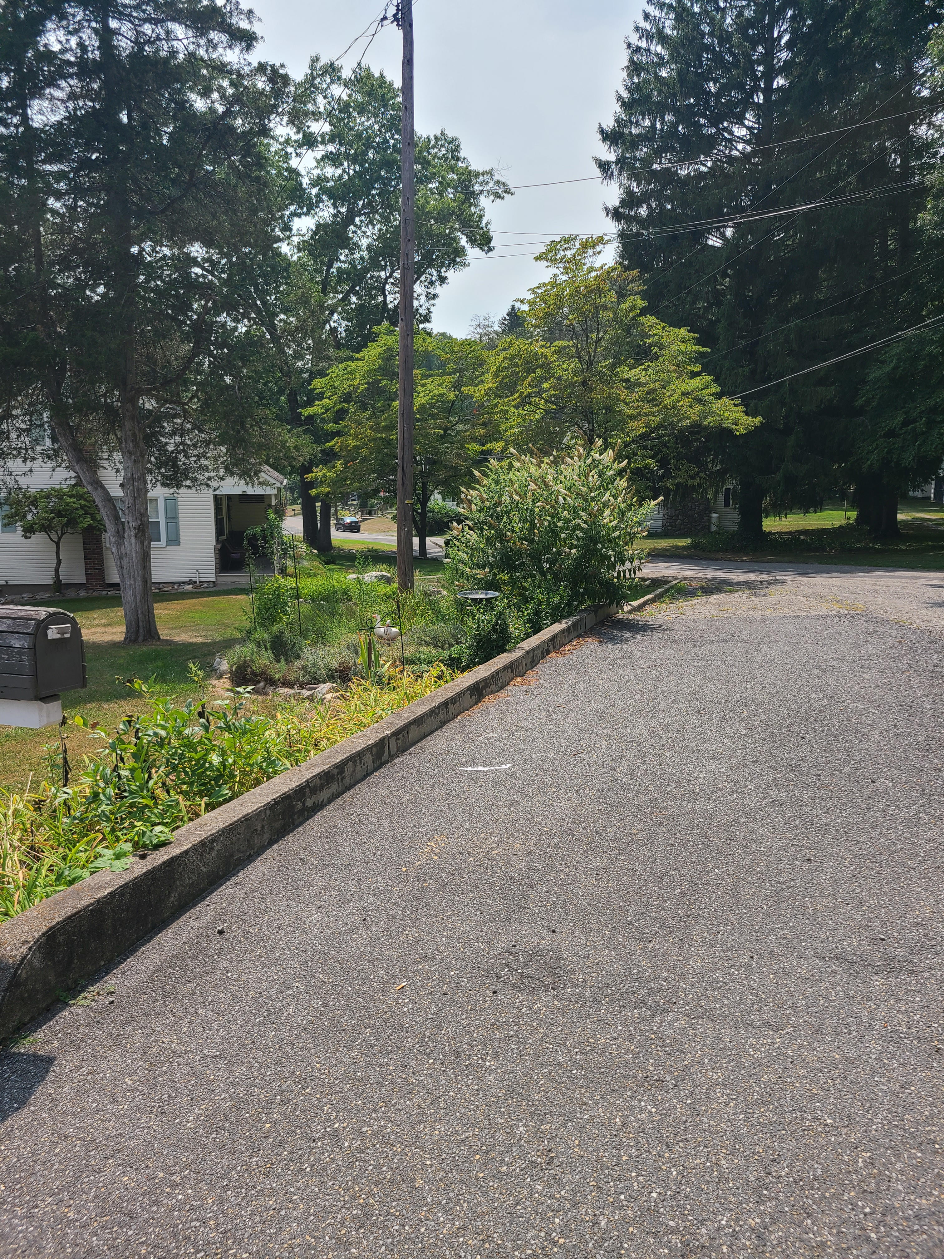 Bangor Bungalow
