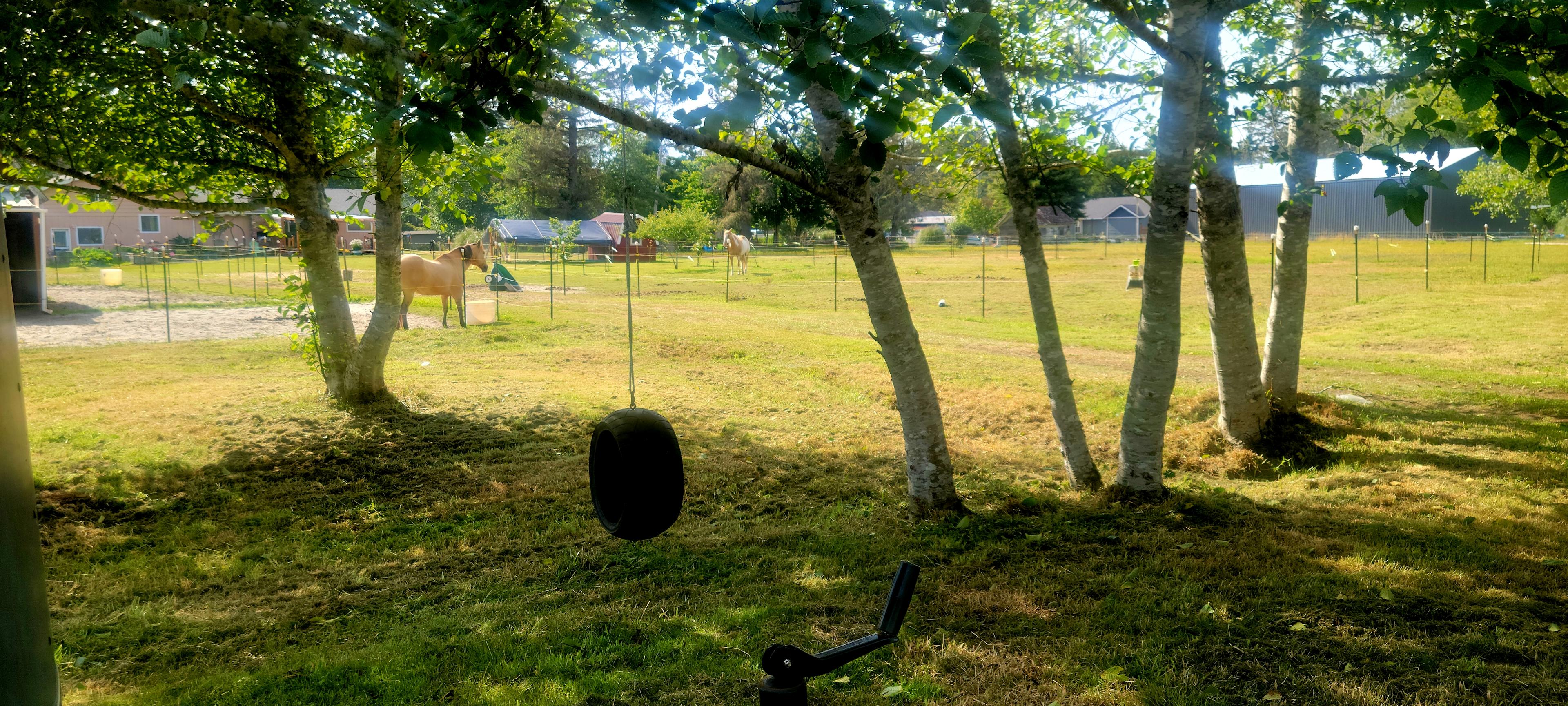 Beach Bums Camp N Ranch