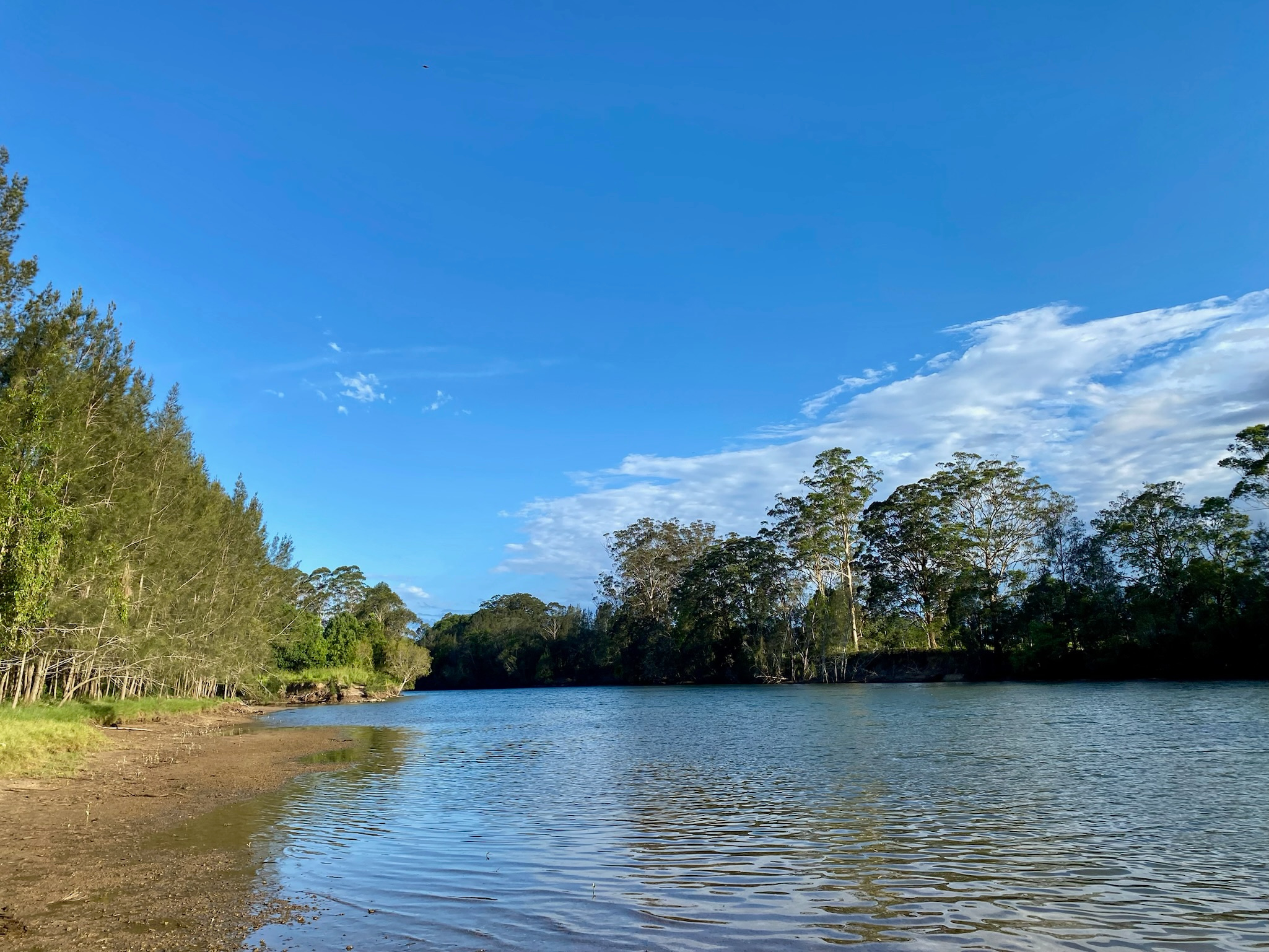 Riverlea Green,  Nambucca Valley