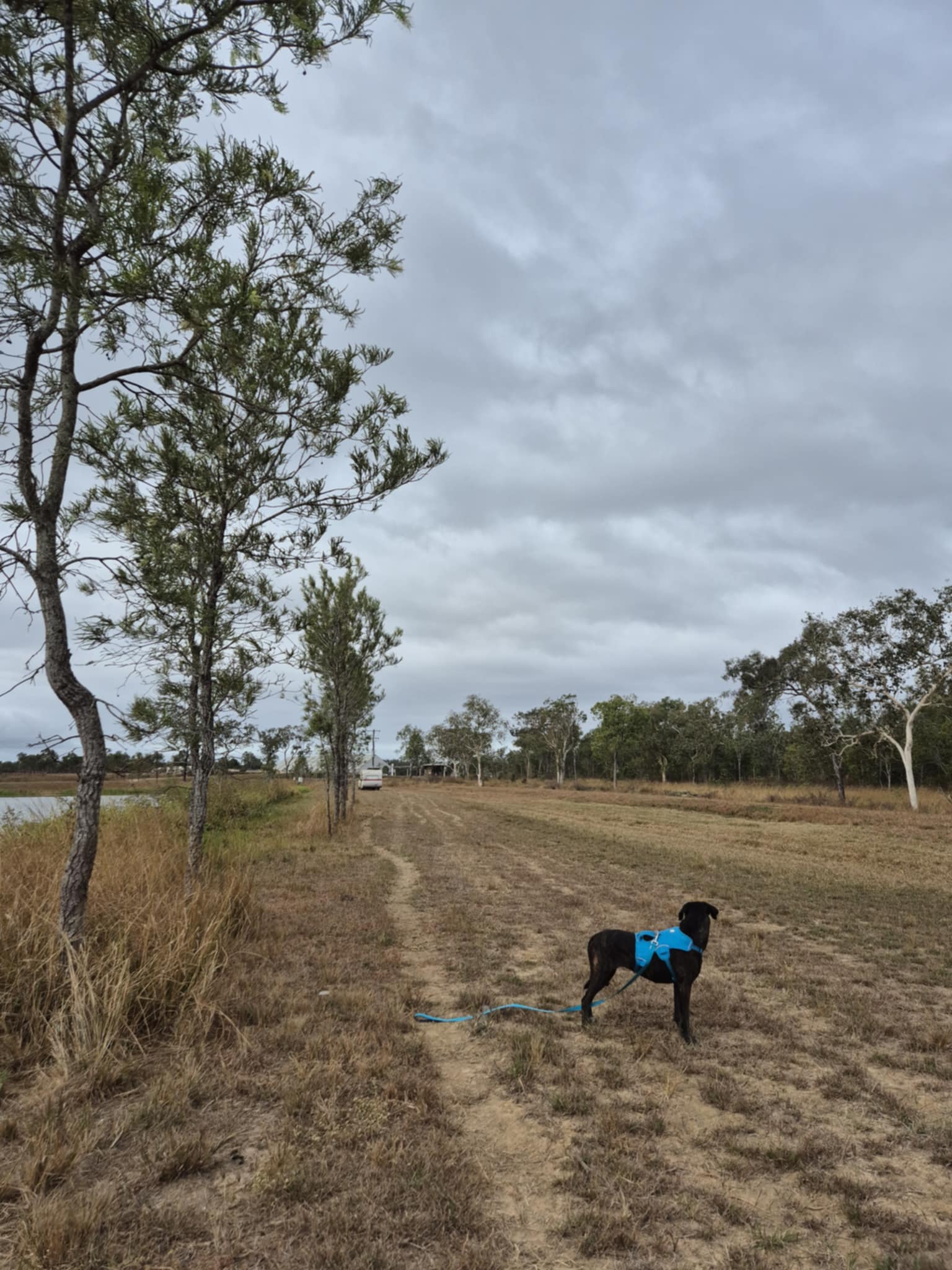 Waterview Birding Retreat Kimalo St