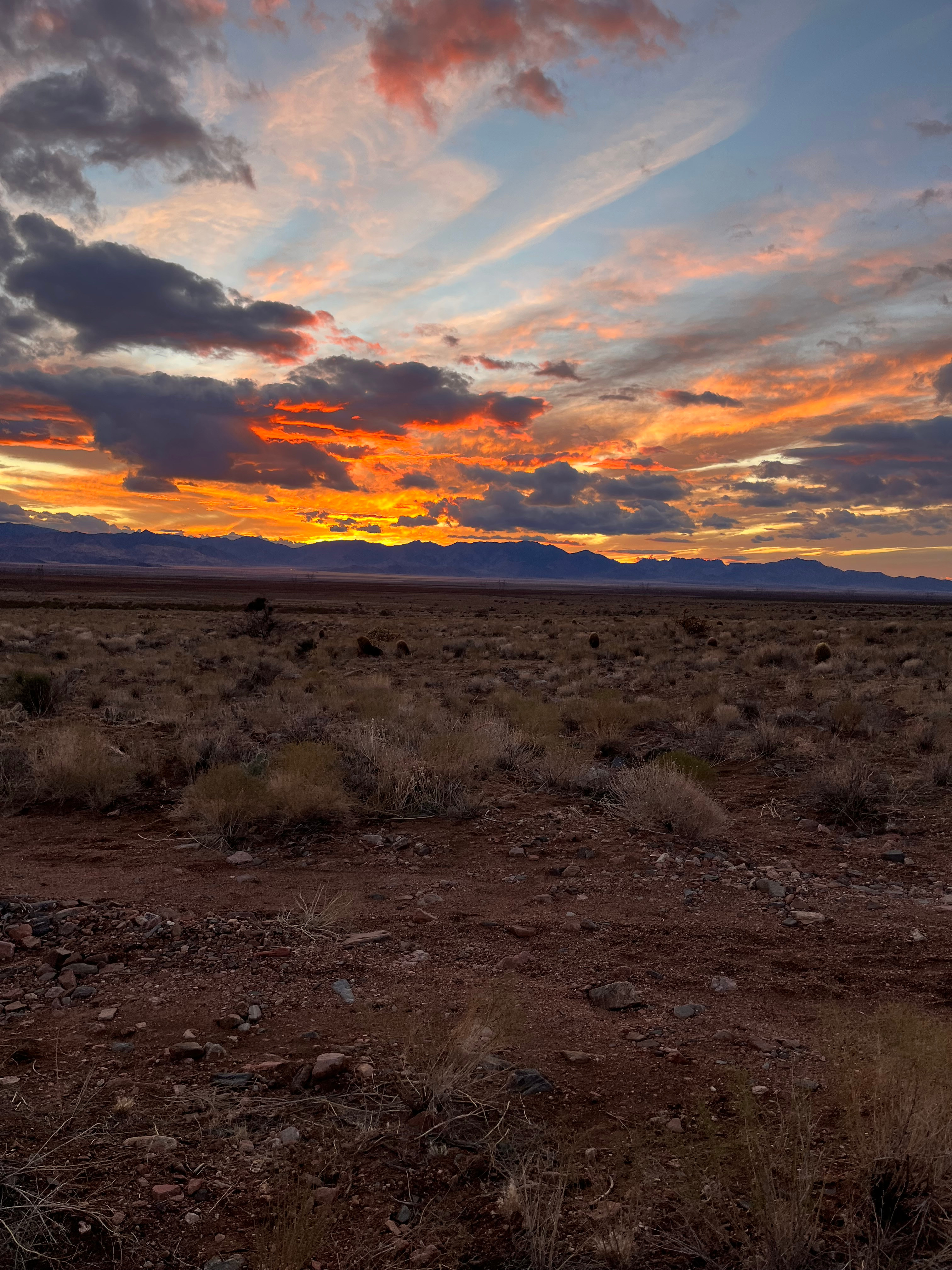 Sky Earth Wellness LLC