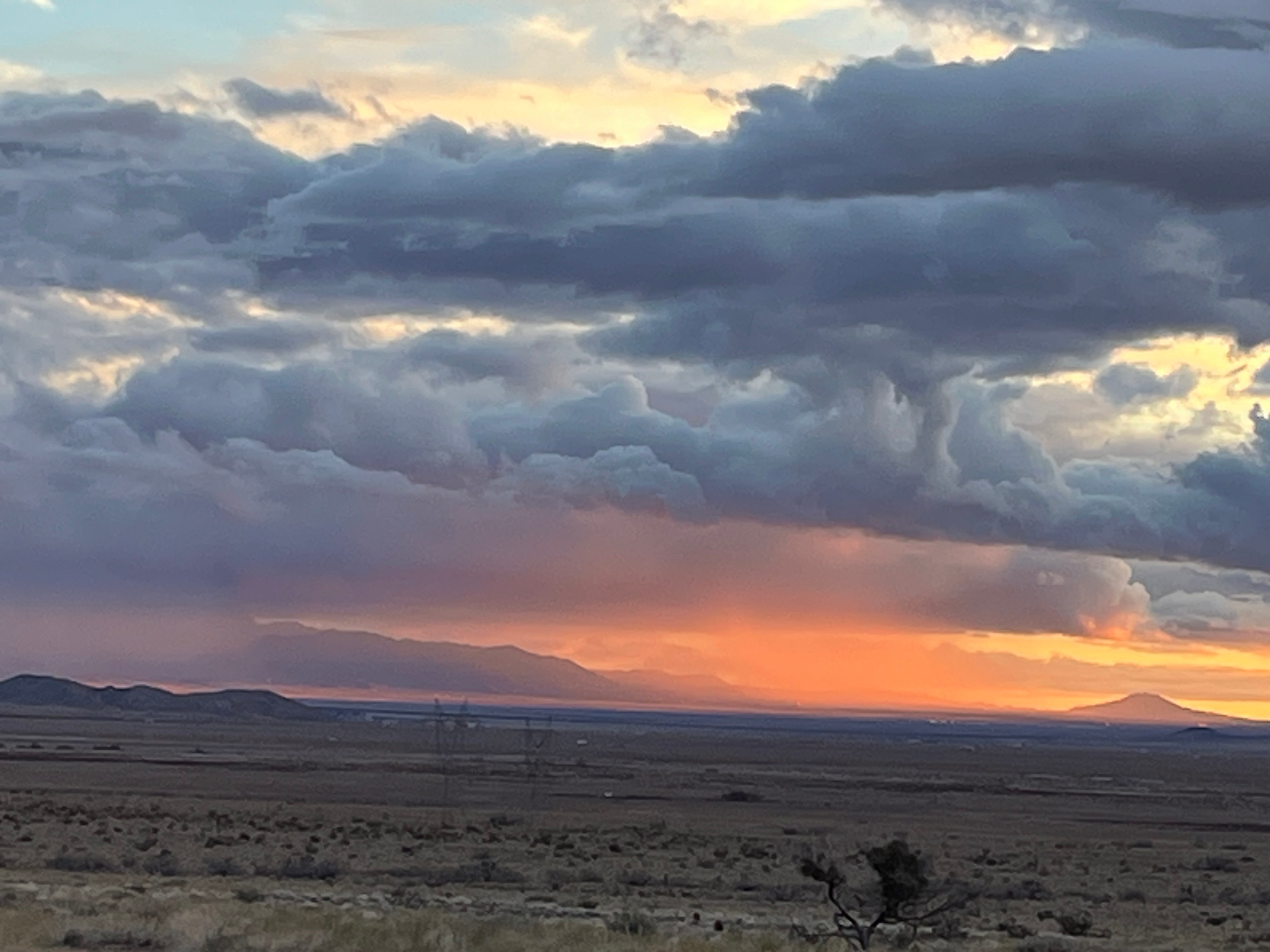 Sky Earth Wellness LLC