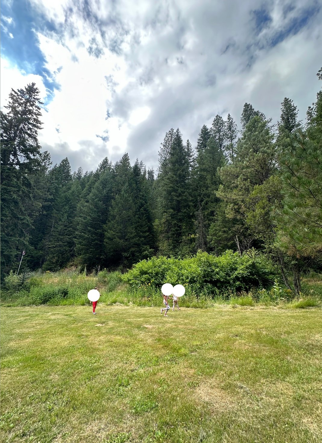 Great meadow to play tag or soccer in! 