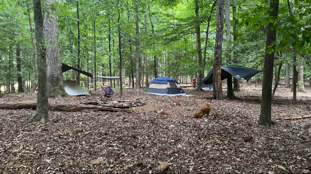 Hoot's Hollow Farms & Camping