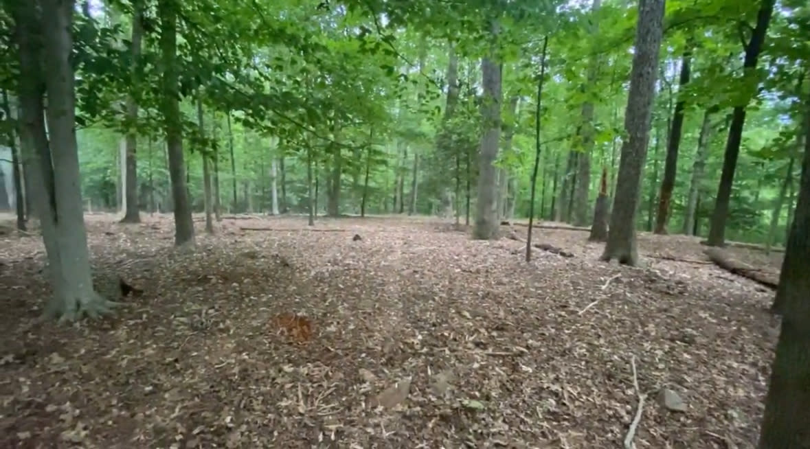 Hoot's Hollow Farms & Camping