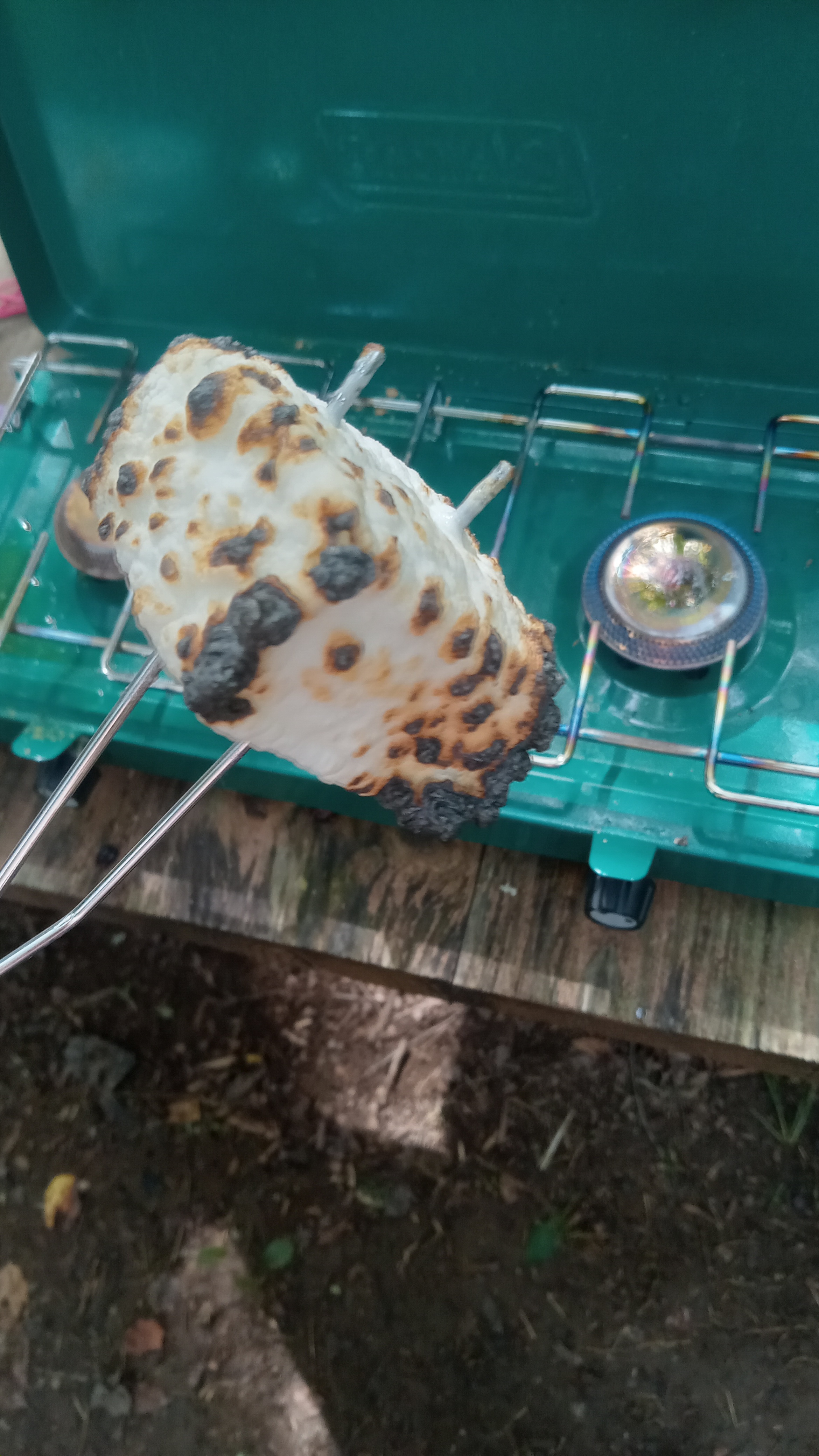 Candy Mountain Goat Farm