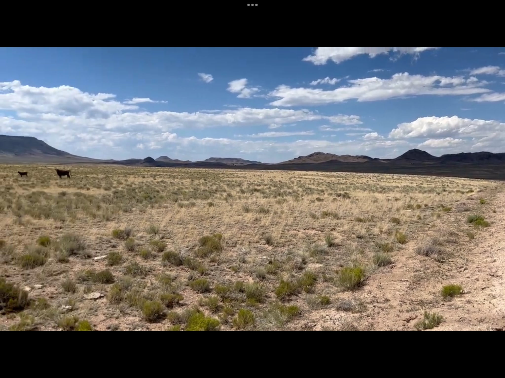 Wild Horse Mesa Star Gazing Ranch