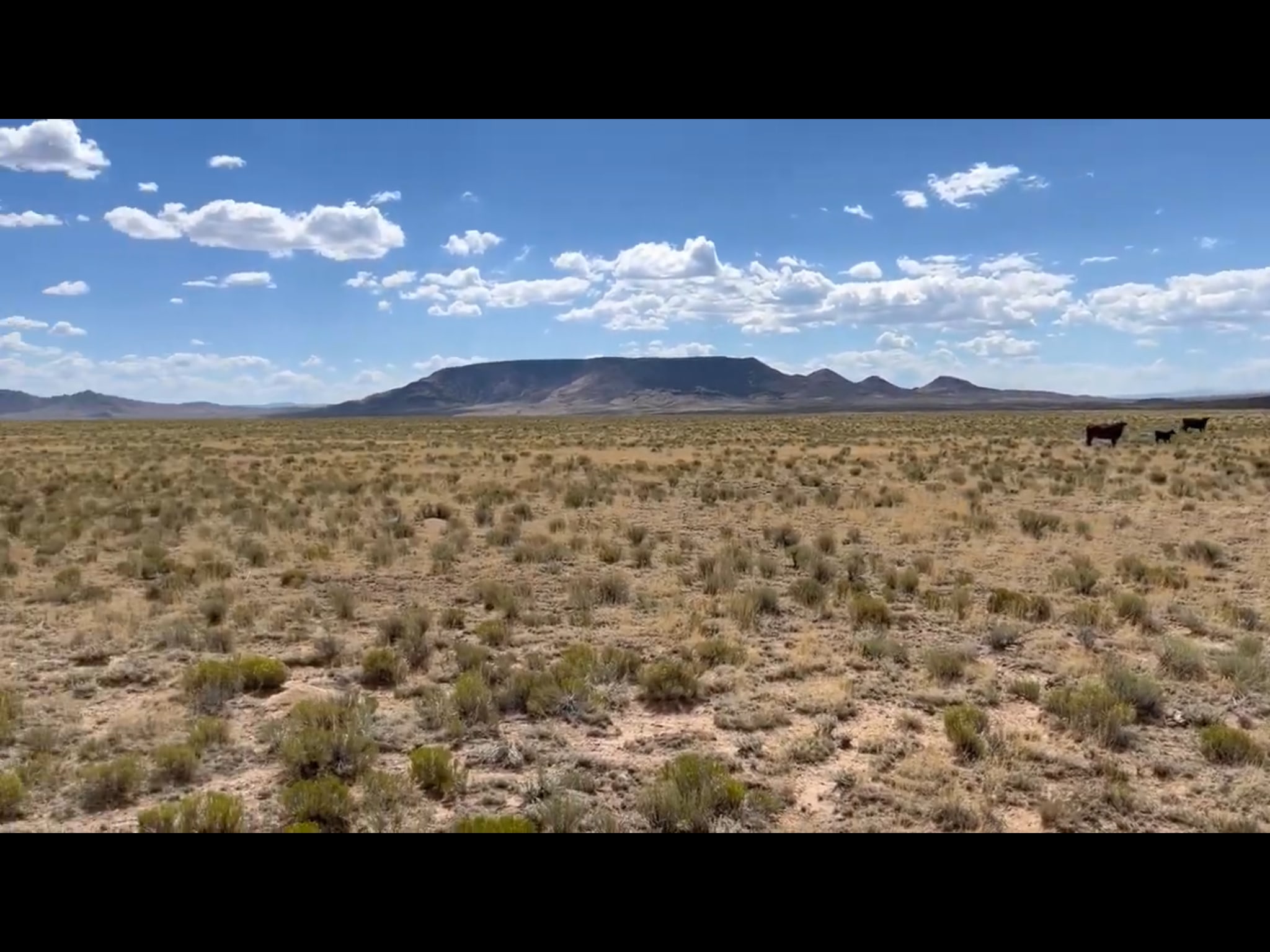 Wild Horse Mesa Star Gazing Ranch