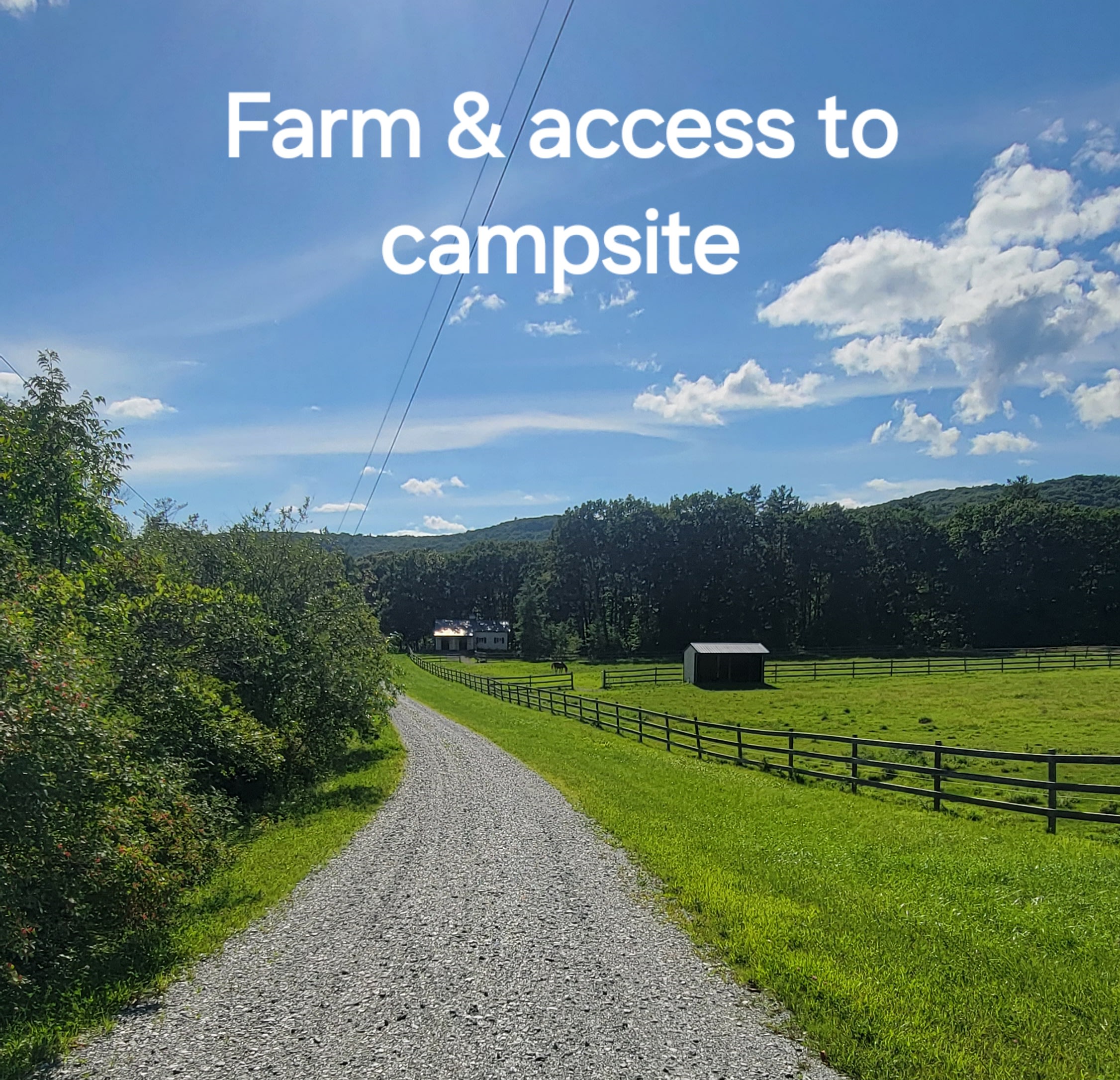 Lake Bomoseen Farm