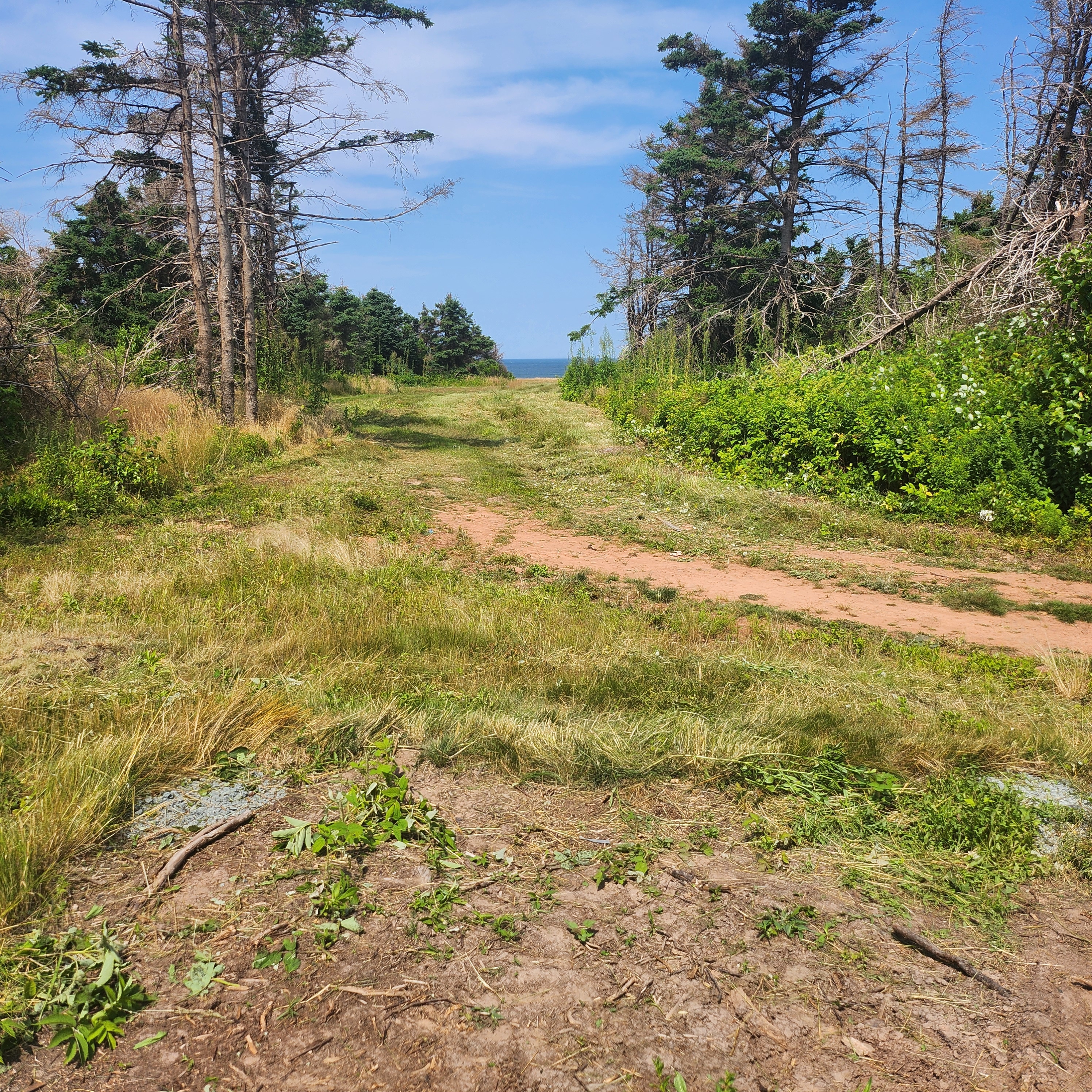 Serene Ocean Hideaway