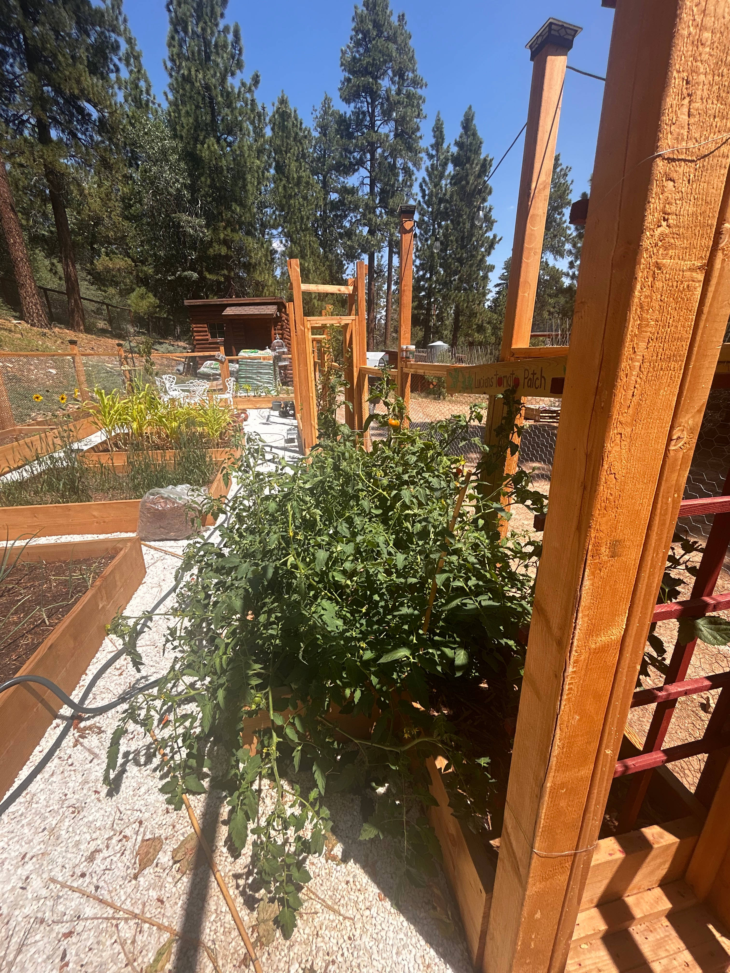 Bear Hollow Camp Site