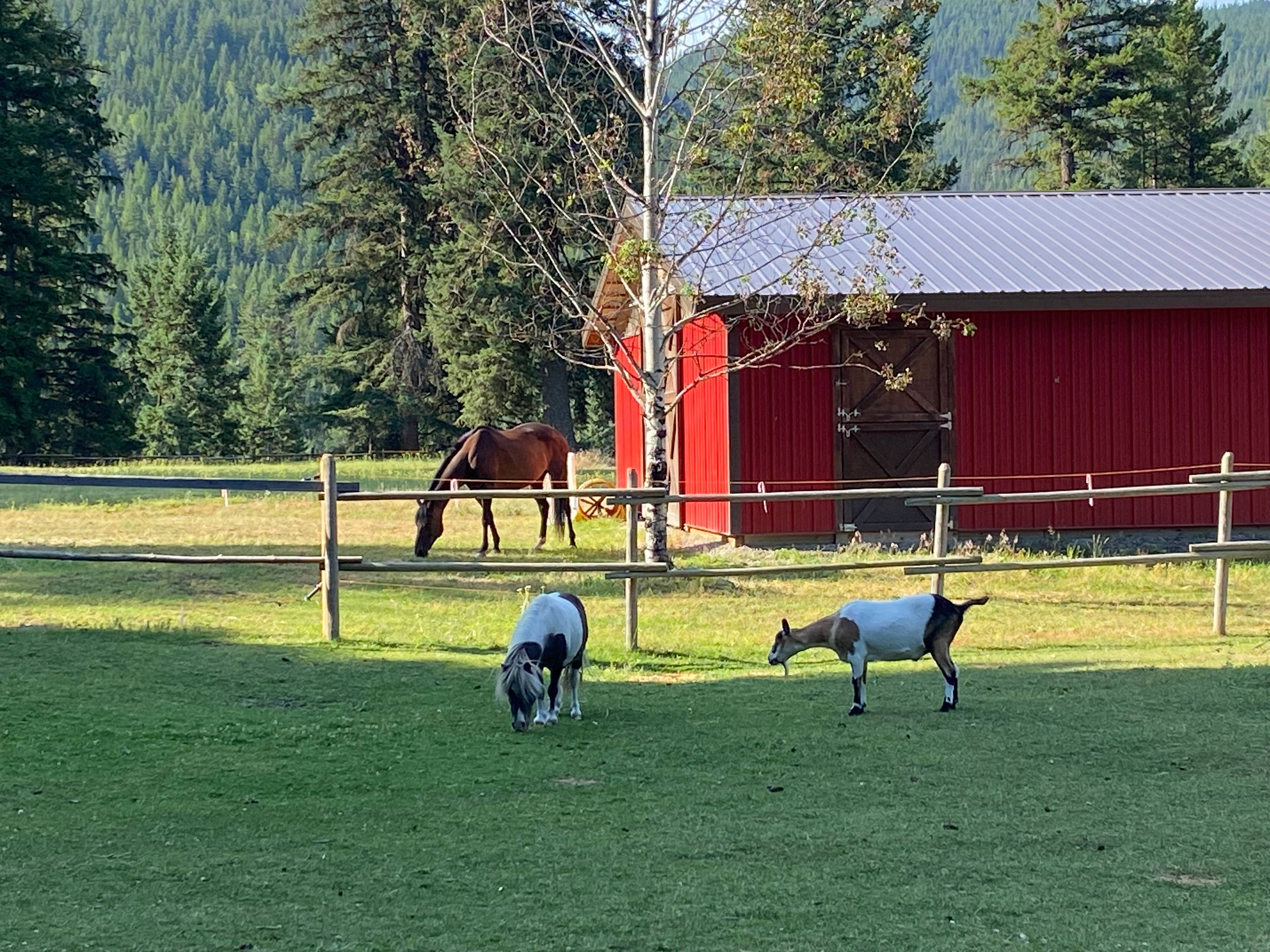 Tamarack Hill Farm, country oasis