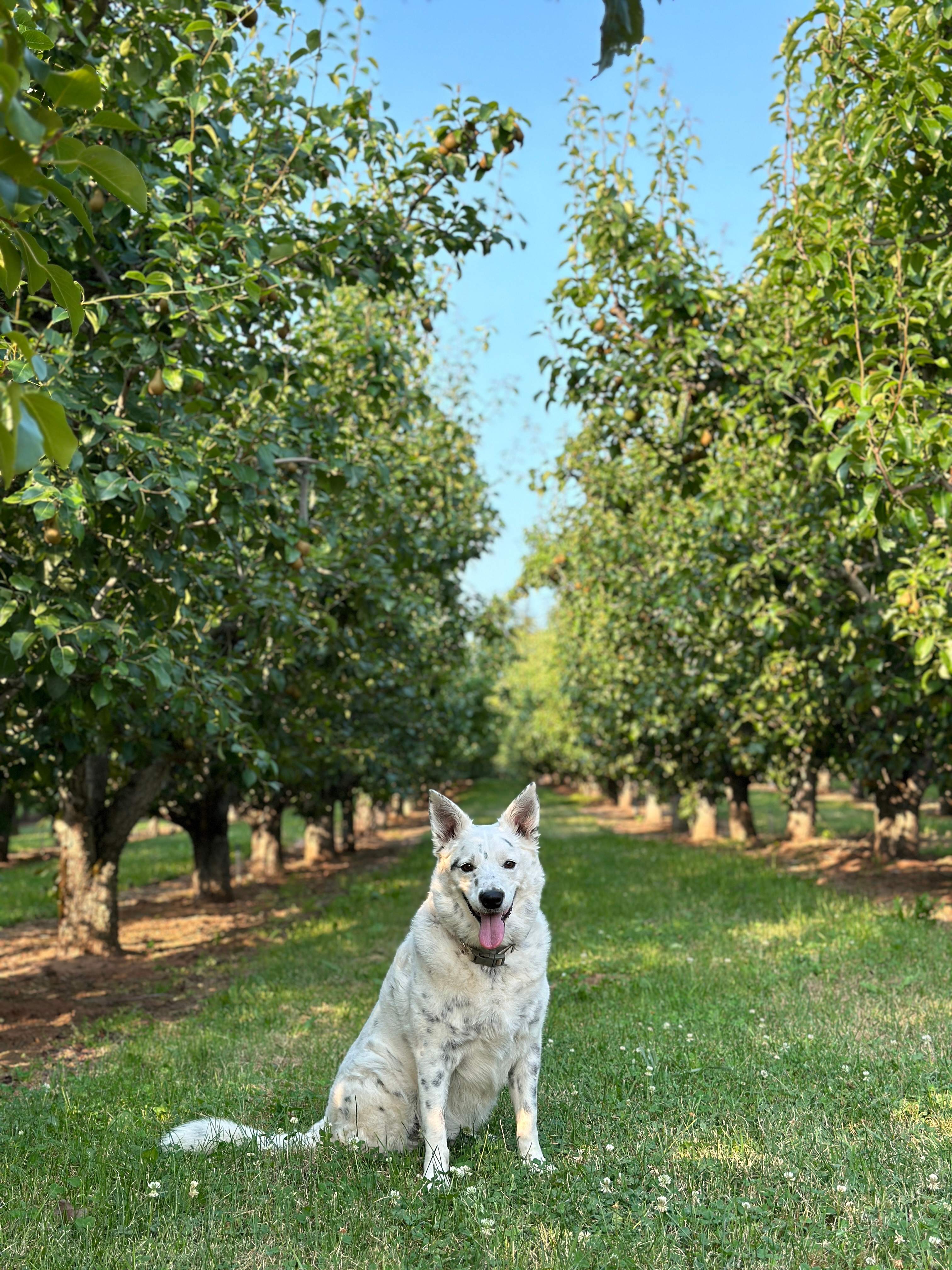 Uploaded from error this is not the campground 