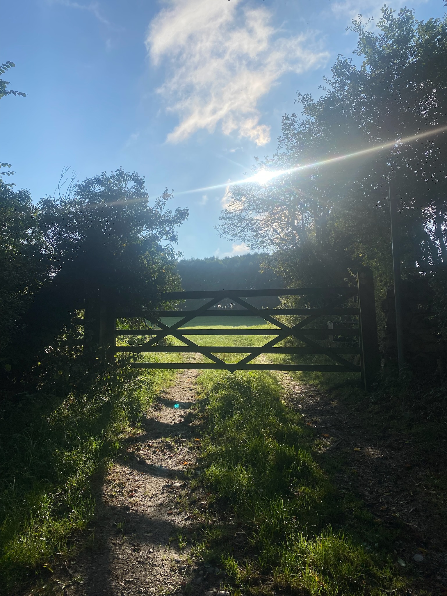 Derbyshire Eco Yurt