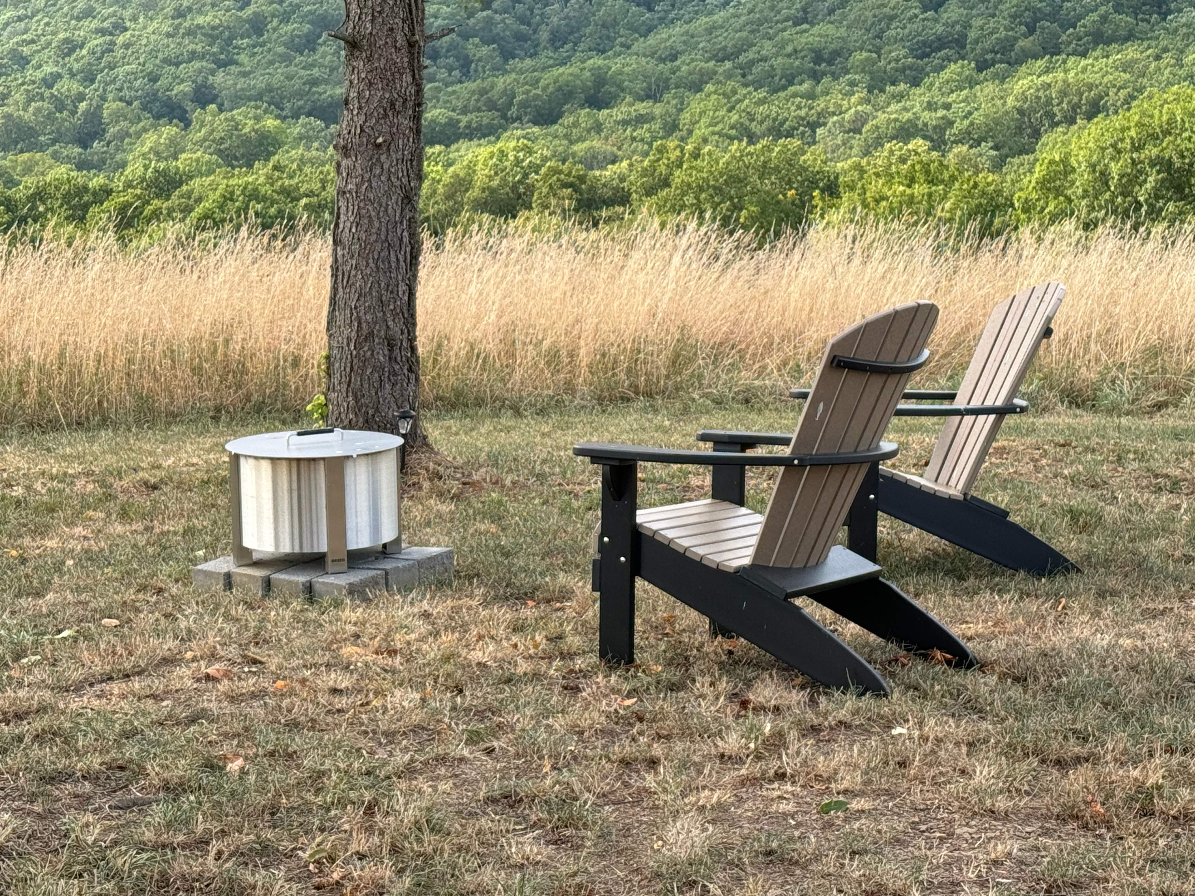 White Squirrel properties