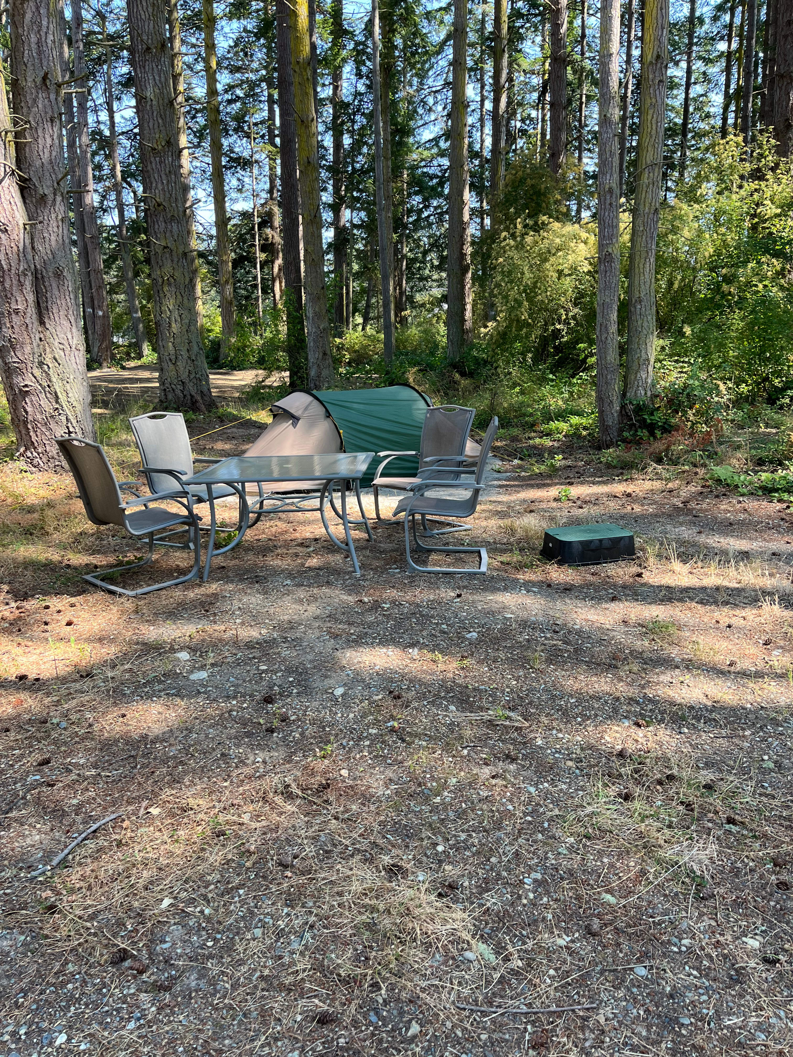 Monkey Hill @Deception Pass Retreat