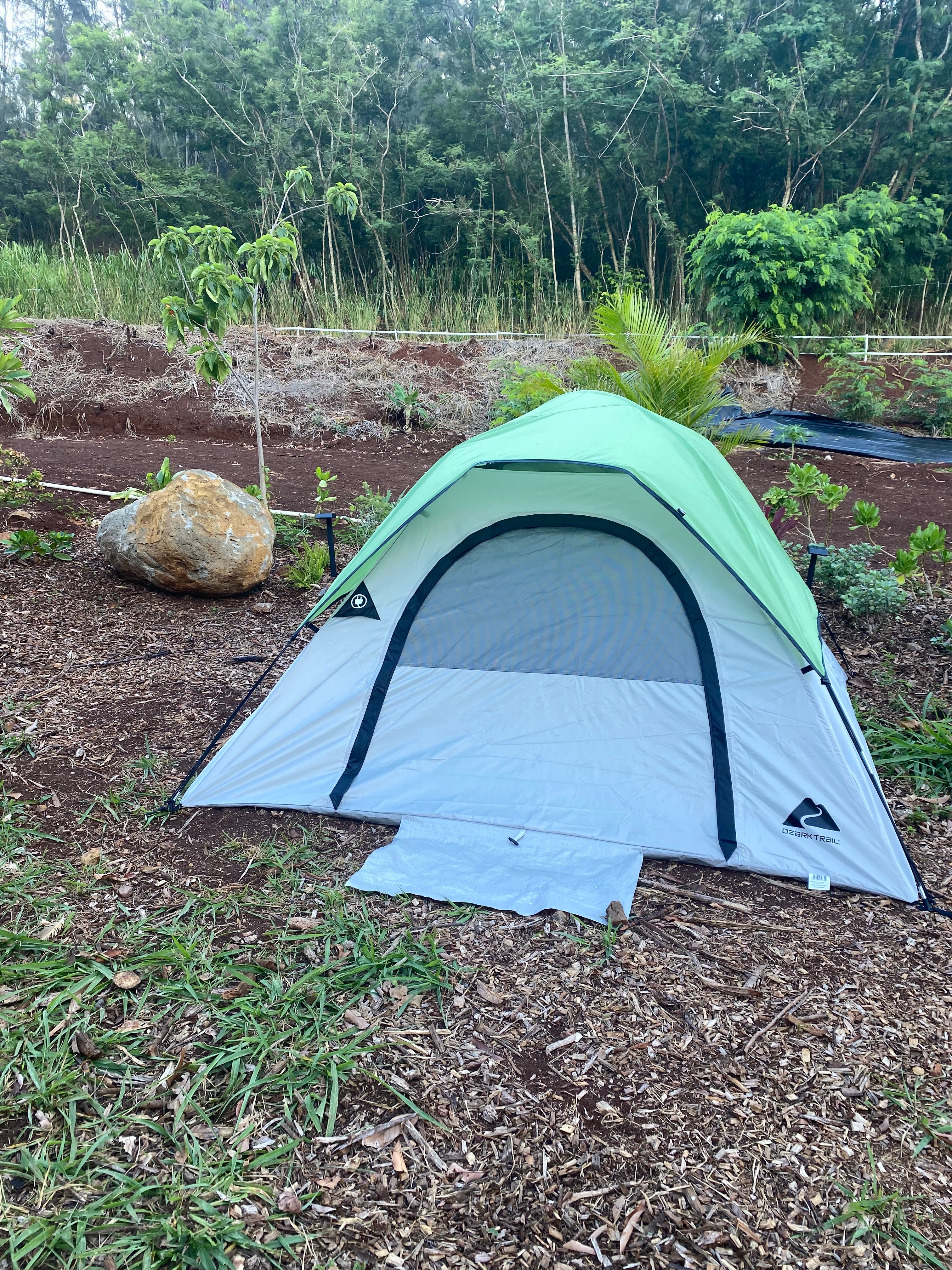 Charming Kahuku camp
