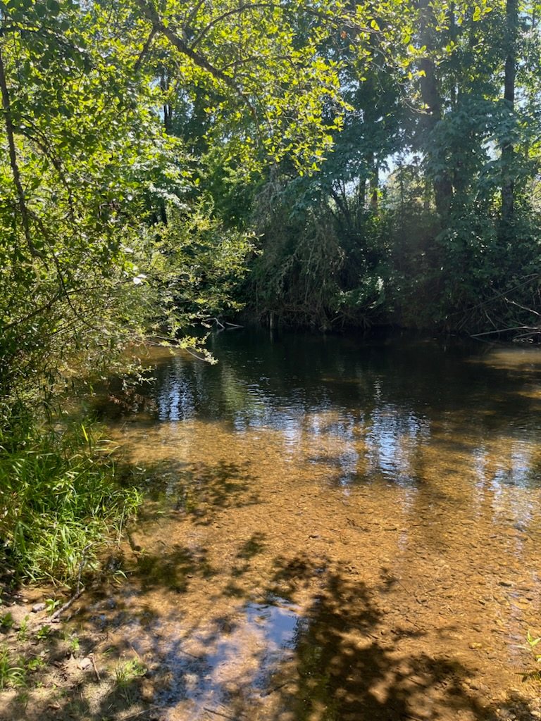 Tranquil Creekside