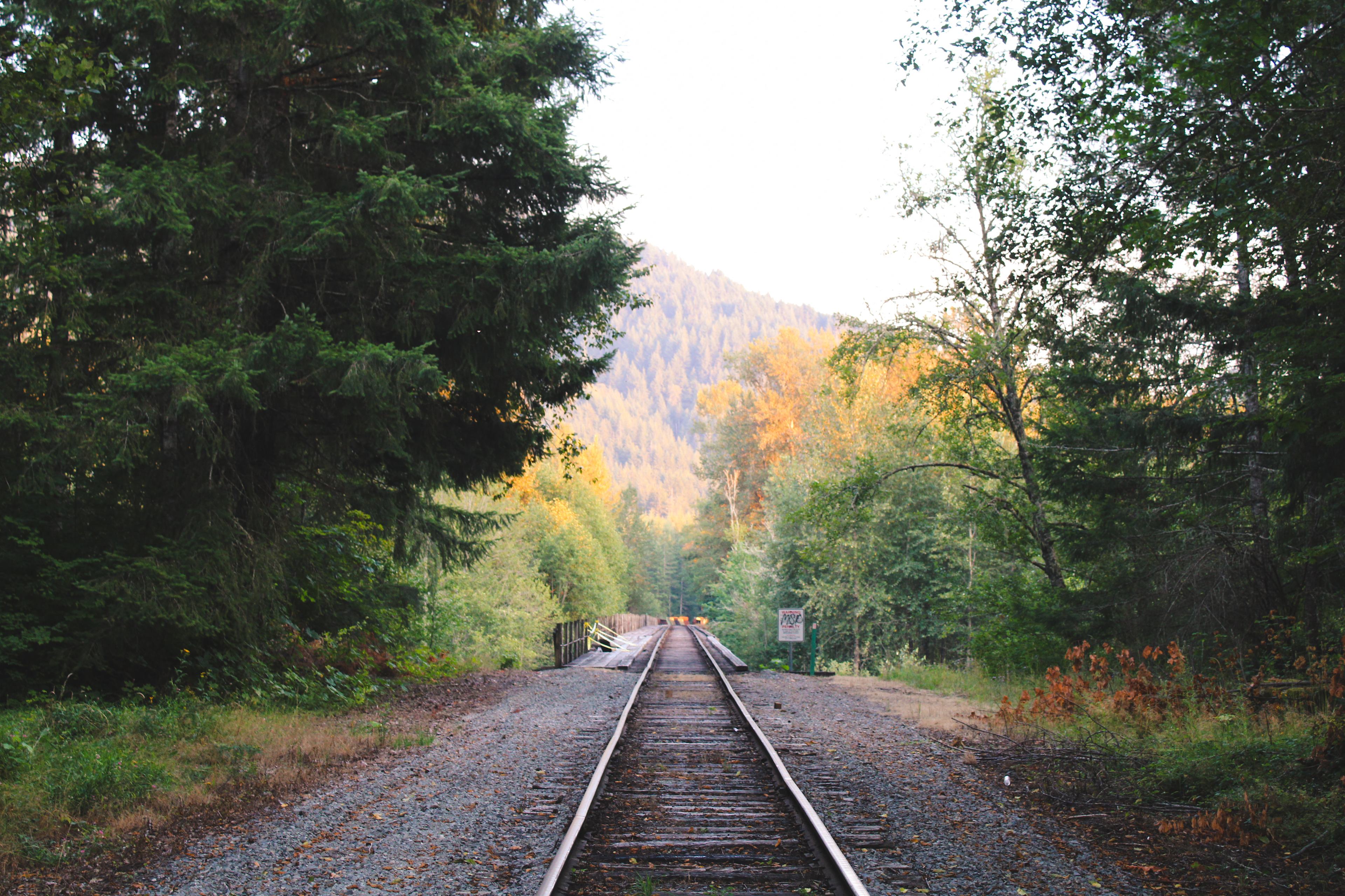 The tracks are next to the campsite, but not easily accessible to children or dogs or anything to just get out there, there is a fence