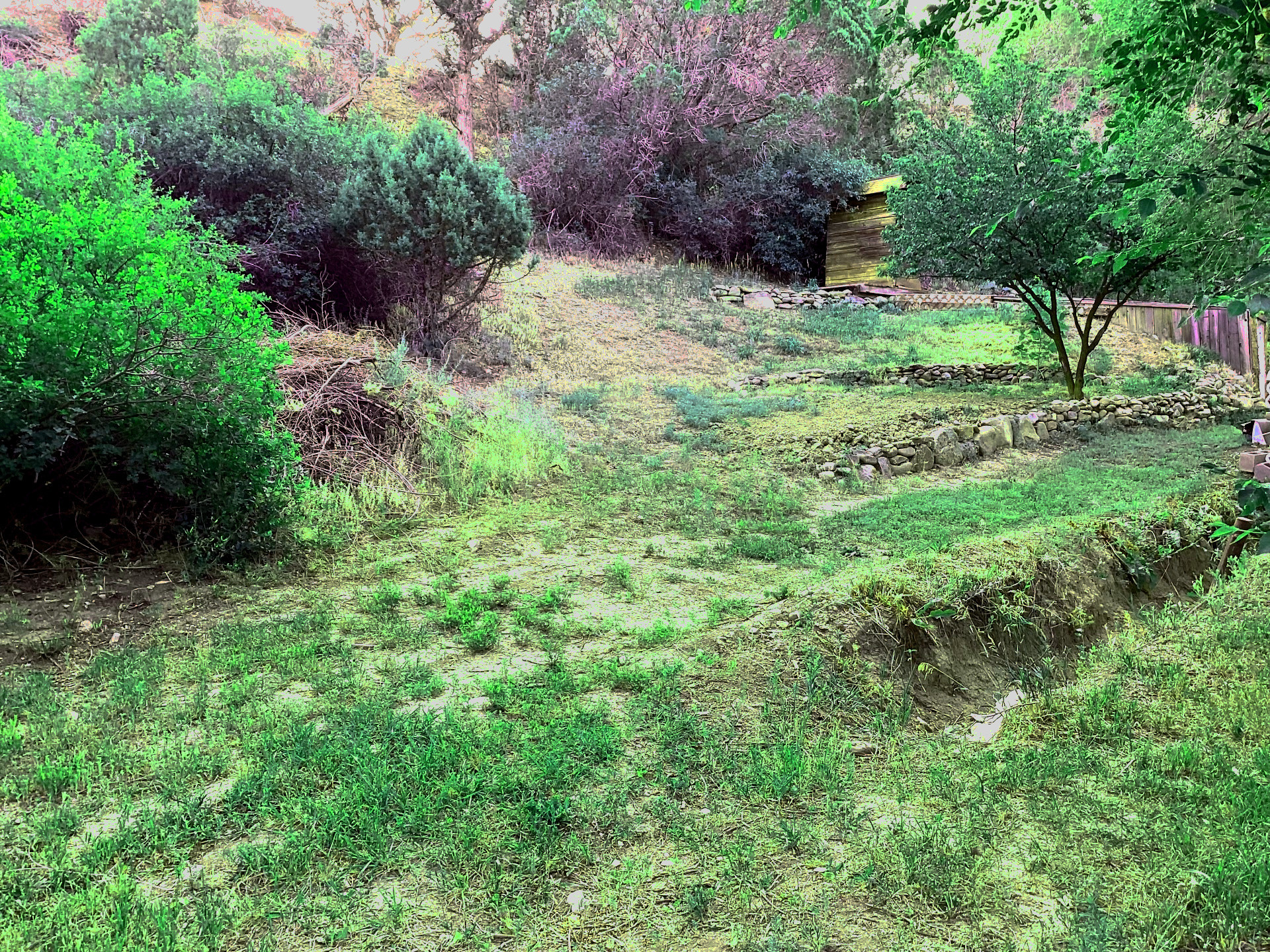 Secluded Property with All Hookups,