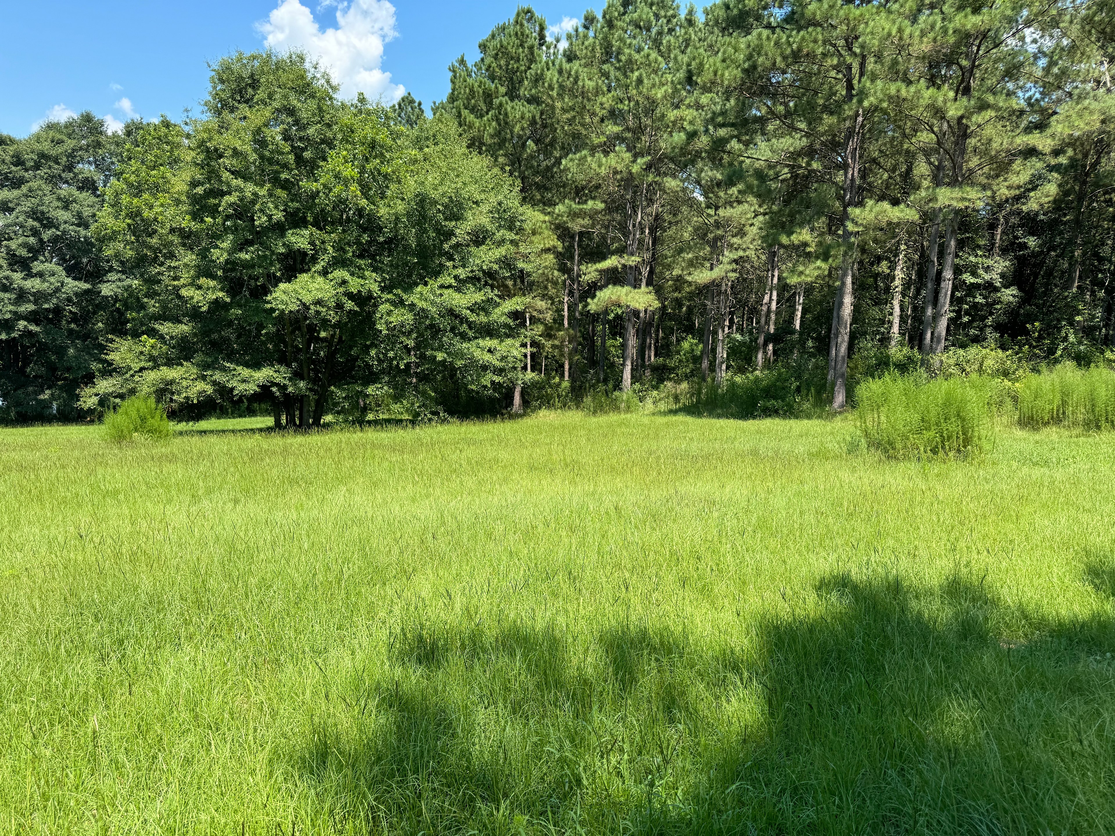 Pondview Acres Campground