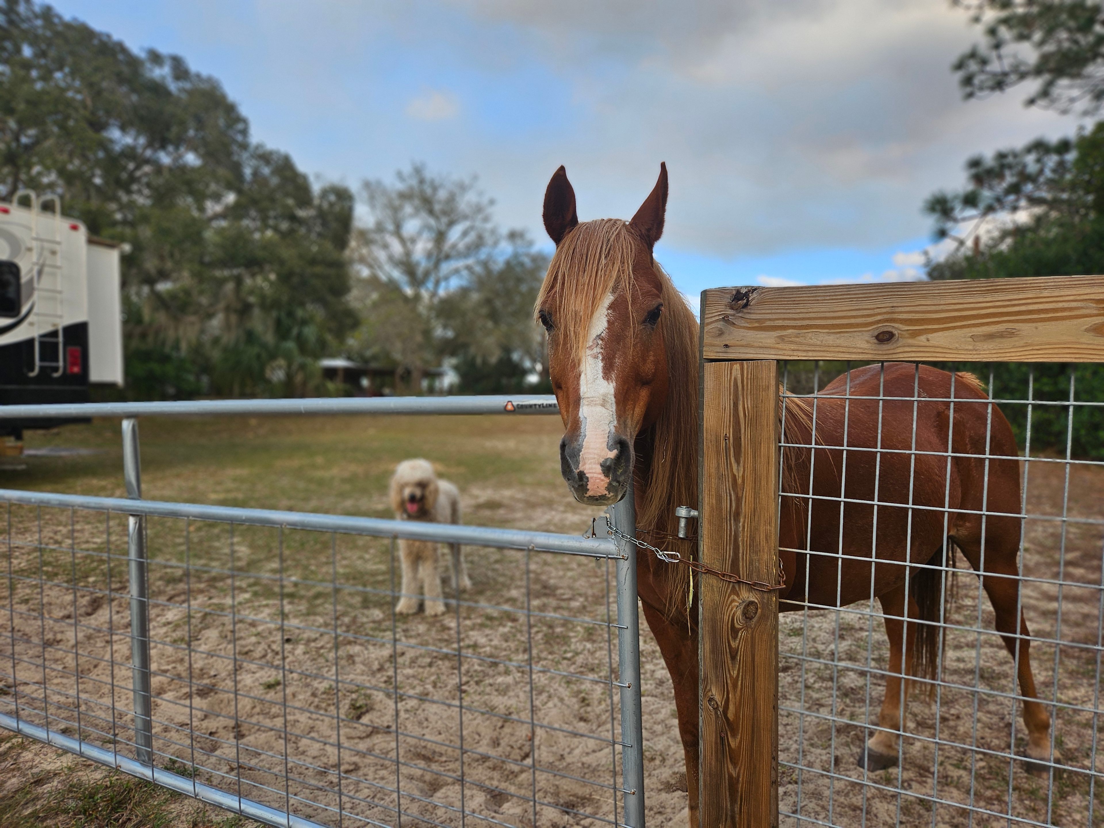 The Nature Coast Beacon