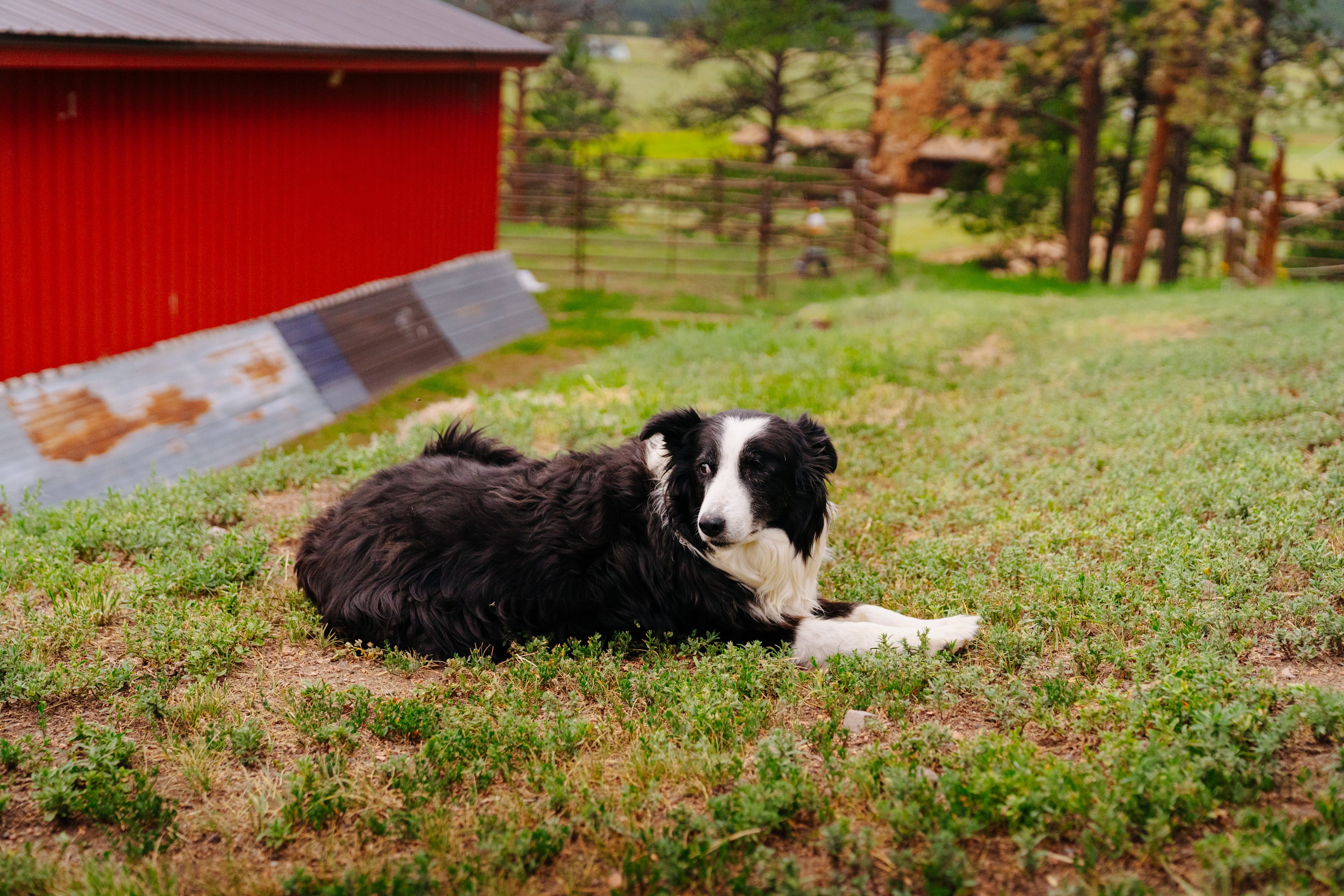 Buckaroo Bunkhouse Camping