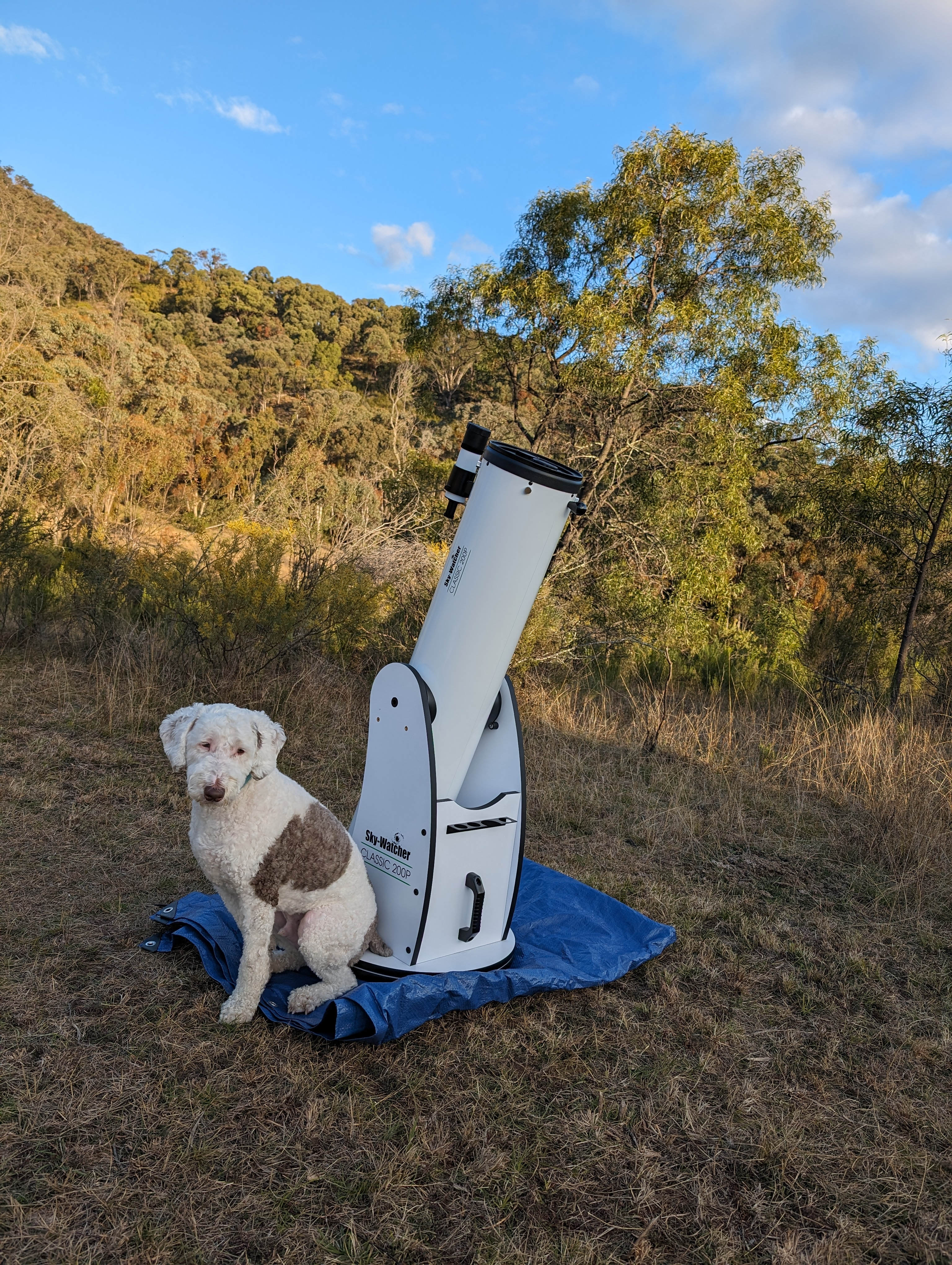 The Giants - mountain views camping