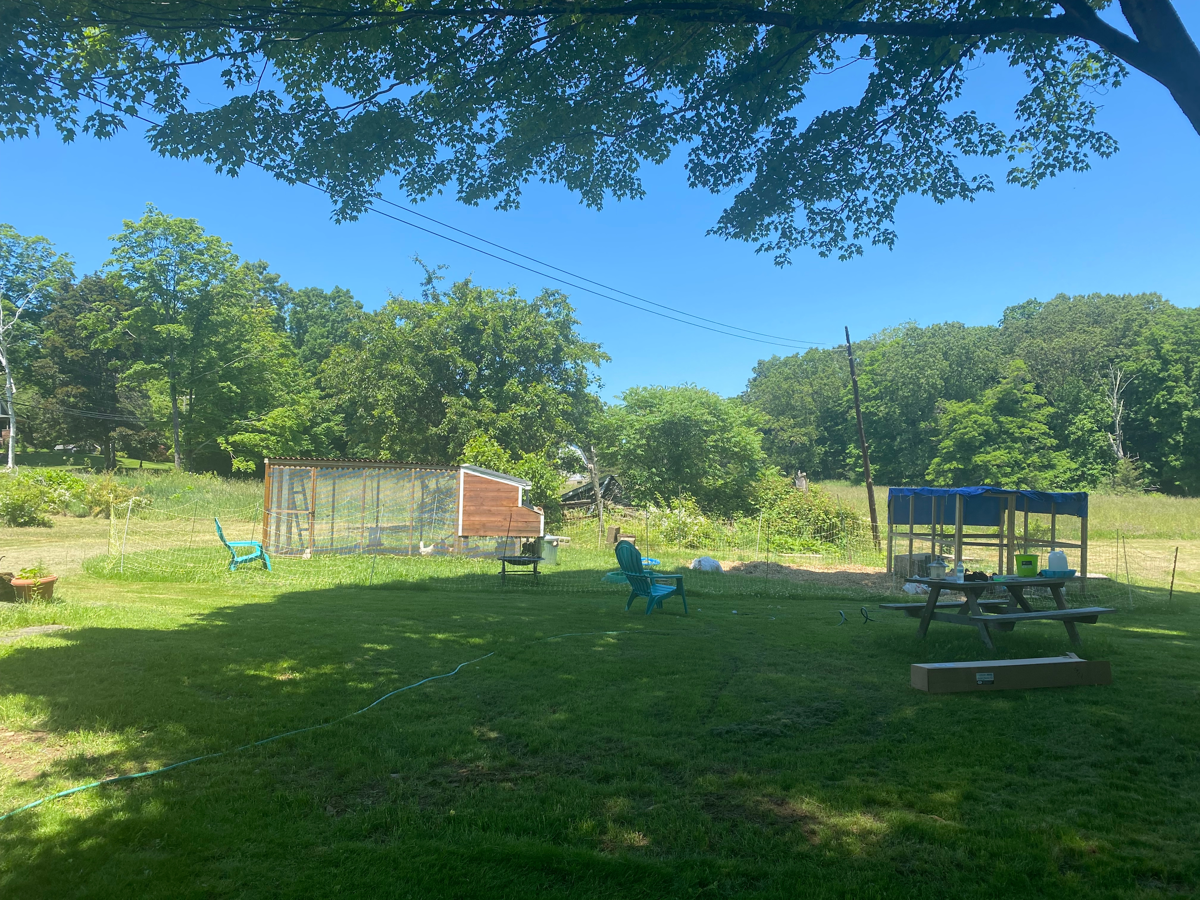 Greener Pastures Camp